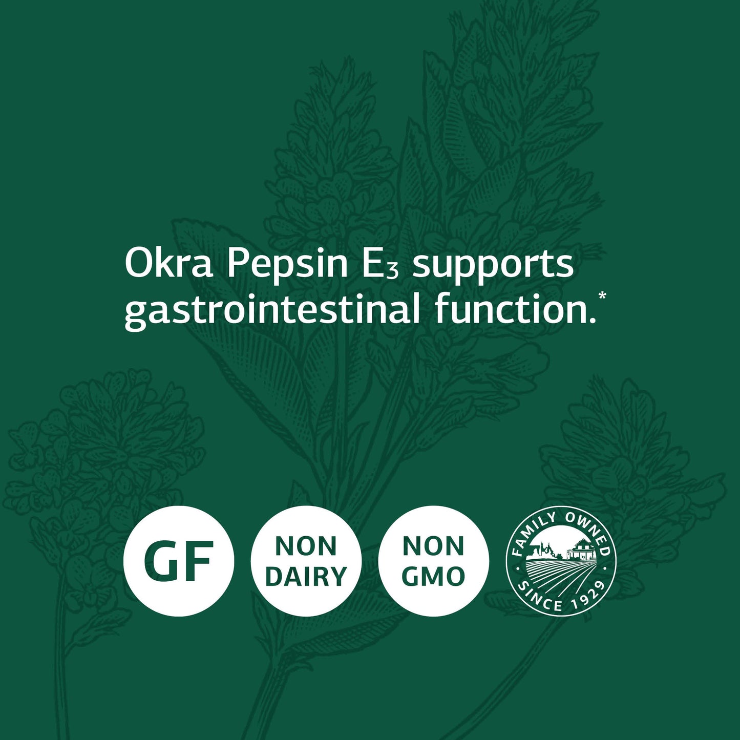 Standard Process Inc. Okra Pepsin E3 - Whole Food Digestive Health, Cholesterol, Bowel and Bowel Cleanse with Pepsin, Alfalfa, Spanish Moss, Buckwheat and Okra, Gluten Free - 90 Capsules