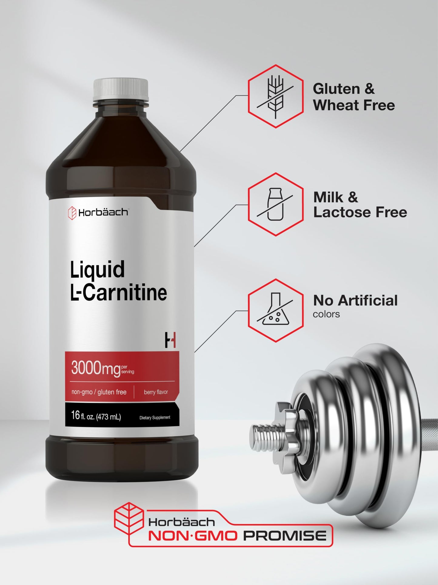 Horbäach L-Carnitine Liquid 16 oz | 3000 mg | Berry Flavor | Vegetarian Formula | Non-GMO, Gluten Free Supplement
