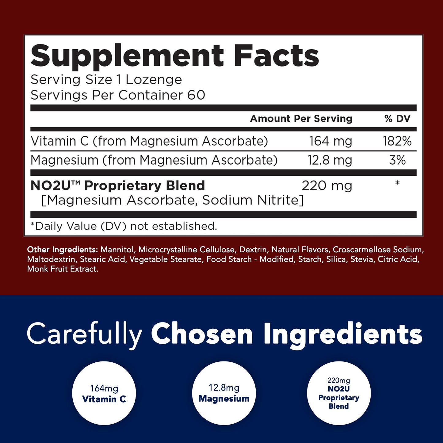 NO2U Bryan NITRICEUTICALS - Natural Nitric Oxide Supplements for Men & Women - Promotes Blood Circulation, Oxygen & Nutrient Delivery, Daily Wellness Support - No Gluten or Dairy - 60 Vegan Lozenges