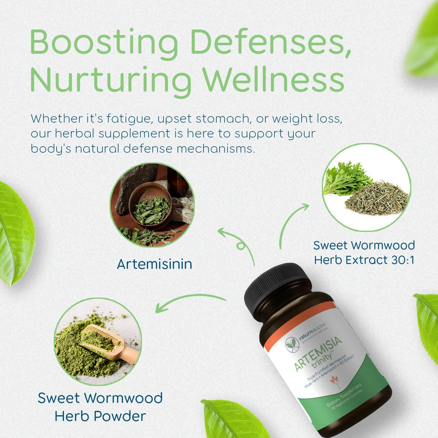 Return Healthy Artemisia Trinity | Cleansing for Adults with Wormwood Herb & Artemisinin 30:1 Extract | Resistance & Digestive Support | Herbal Supplements | Pure, Plant-Based, 90 Caps