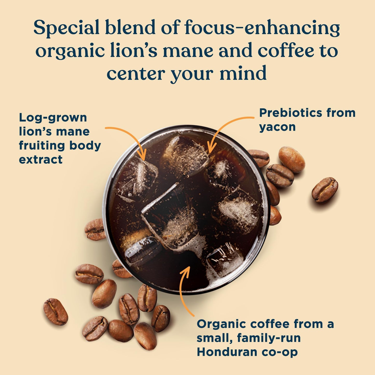 FOUR SIGMATIC Organic Cold Brew Coffee Grounds  Dark Roast Fair Trade Coarse Grounds with Lions Mane and Chaga  Cold Brew Mushroom Coffee for CrashFree Focus  12 oz Bag
