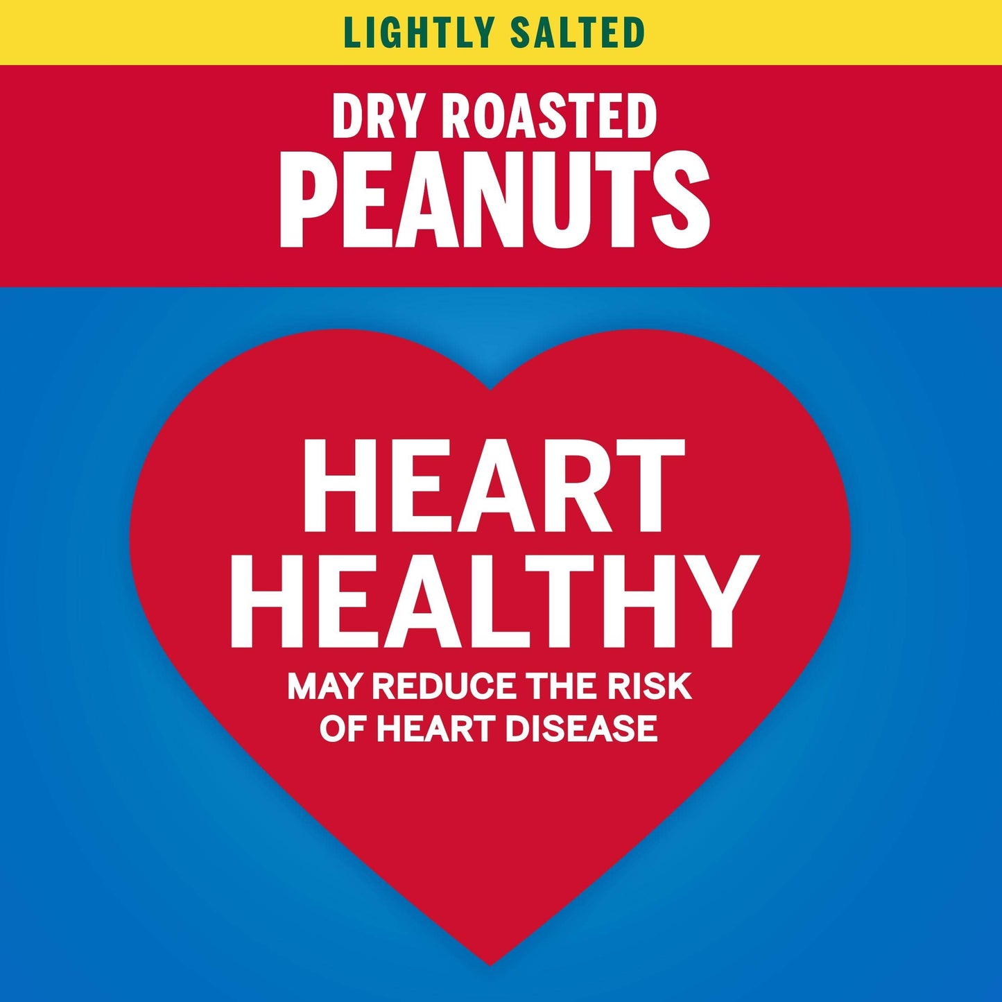 PLANTERS Lightly Salted Dry Roasted Peanuts 16 oz Resealable Jar  Peanut Snack  Great Movie Snack Active Lifestyle Snack and Party Size Snack  Kosher Peanuts Pack of 12