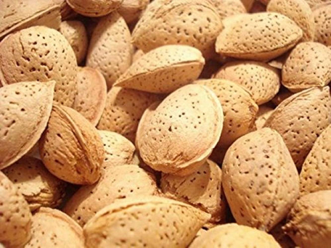 Natural In Shell Raw California Almonds 2 Lbs  Pure Goodness Bursting with Natural Flavors  Vegan  Keto Friendly  Healthy for Snacking  Farm Fresh Nuts Brand