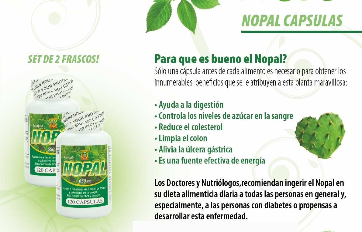Nutrisalud Products Capsulas de Nopal. Set de 2 frascos con 120 capsulas CADA uno. Puro y autentico. Ayuda a la Digestion,Reduce el colesterol, limpia el Colon.