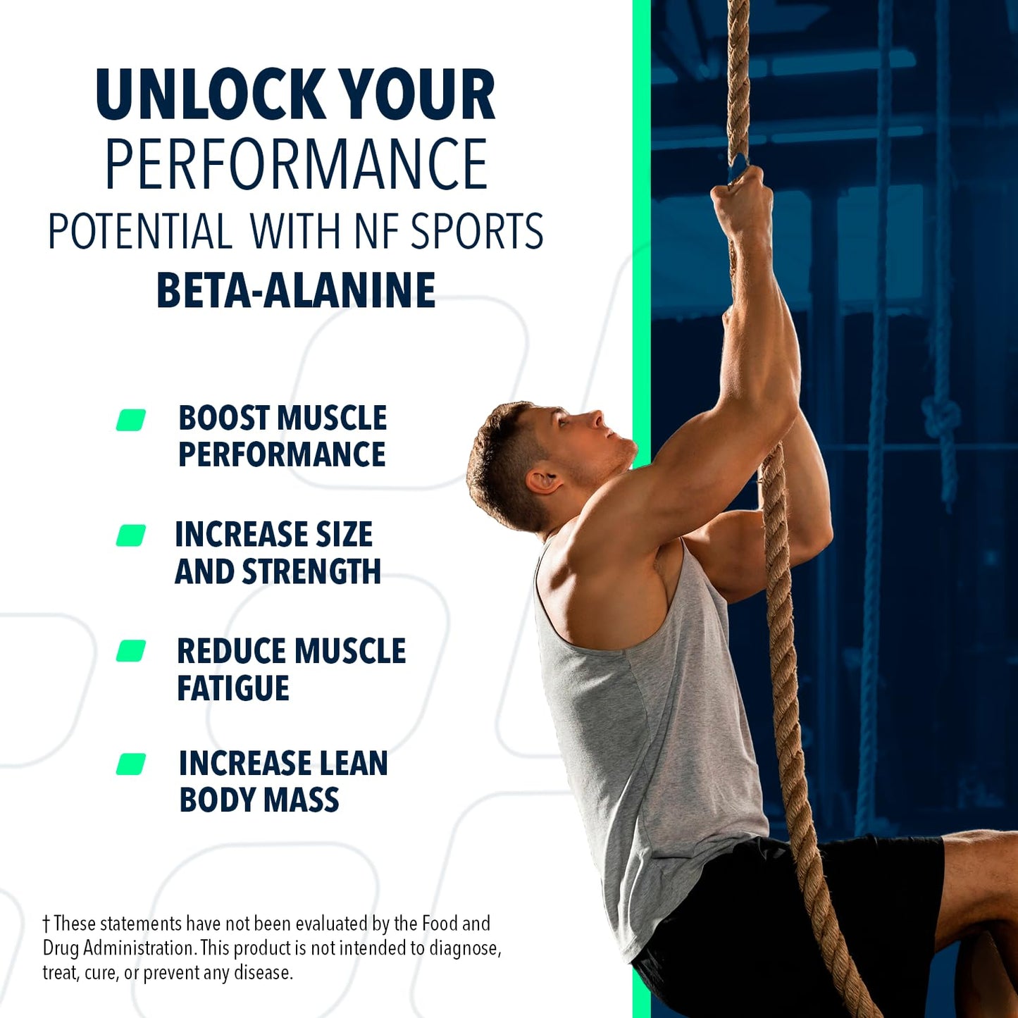 NF Sports Beta Alanine Muscle Recovery Powder, Reduces Muscle Fatique, Dietary Supplement, Unflavored Protein Powder No Artificial Sweeteners, Promotes Muscle Carnosine Levels (320g, 100 Servings)