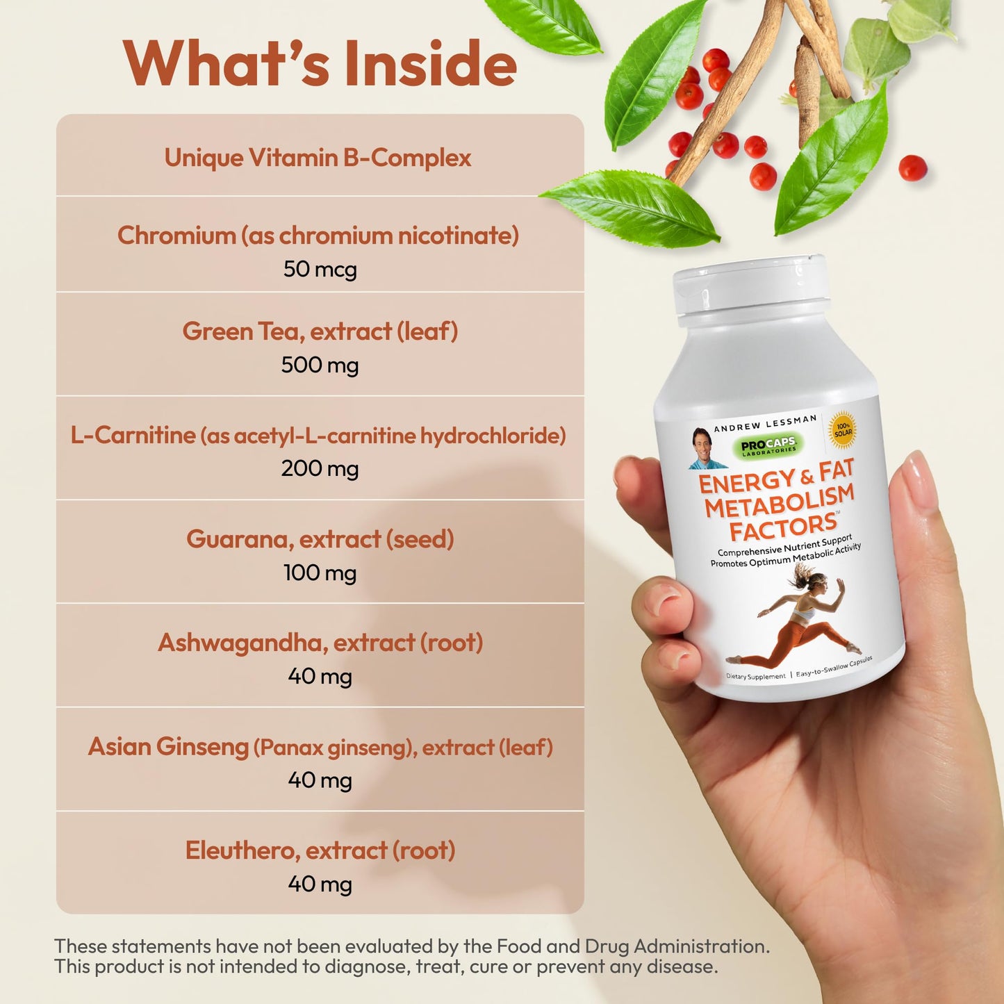 ANDREW LESSMAN Energy and Fat Metabolism Factors 60 Capsules - Promotes Optimum Fat Burning and Energy Metabolism, with Carnitine, Green Tea, Guarana, Ginseng, B-Complex. Easy to Swallow Capsules