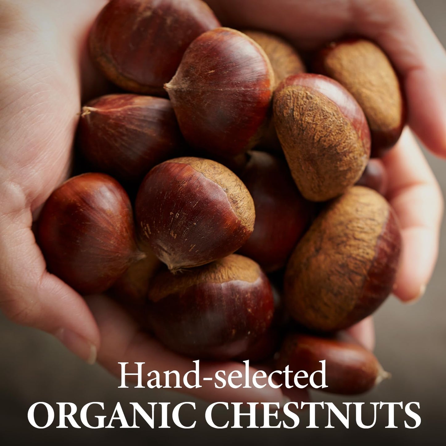 Wang Organic Roasted Chestnuts Shelled and Easy to Eat 211 Ounce Pack of 5