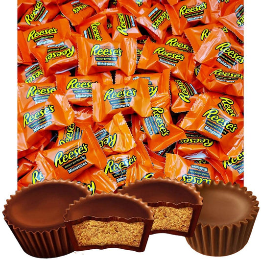 Reeses Peanut Butter Miniature Cups Candy  Peanut Butter covered in Rich Milk Chocolate  individually wrapped  Bulk Pack 1 Pound
