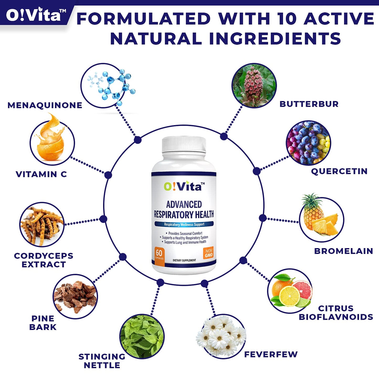 O!VITA Advanced Respiratory Health, Lung Detox and Cleanse, Seasonal Comfort - 10 Active Herbal Ingredients Quercetin, Butterbur, Cordyceps, and More. 2-Month Supply (60 Non-GMO Capsules)