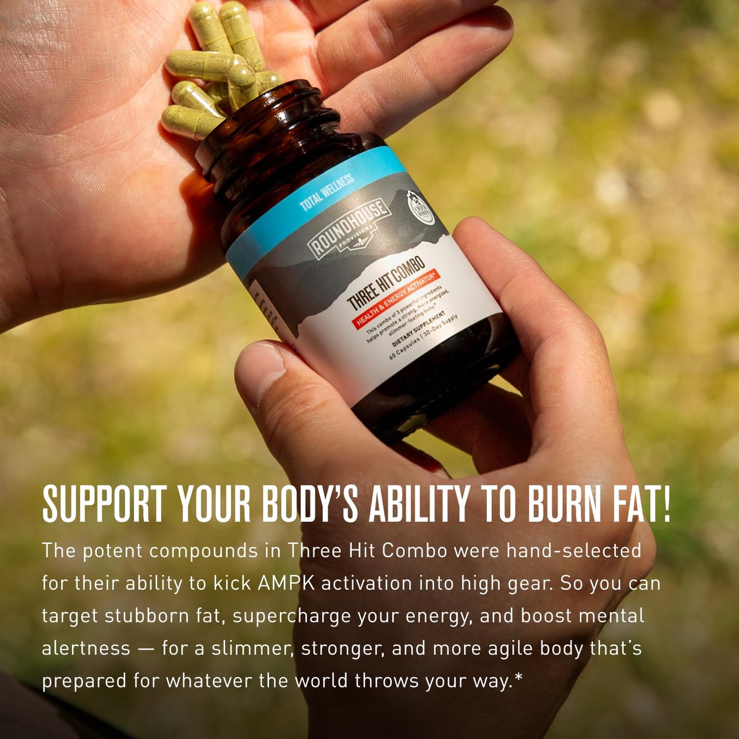 ROUNDHOUSE PROVISION Three Hit Combo - Burn Fat, Boost Energy, and Support Wellness with Berberine, Gynostemma, and Quercetin. 30-Day Supply (60 Capsules) Weight Management by Chuck Norris