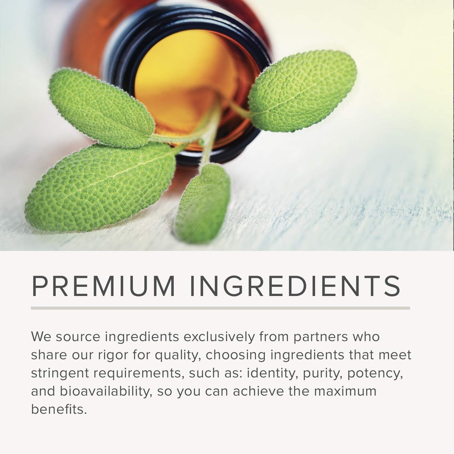 Integrative Therapeutics NutriVitamin Enzyme Complex - Mineral Supplement - Multivitamin & Mineral Supplements with Vitamins C, E & Microbial Digestive Enzymes - Iron & Dairy Free - 180 Capsules