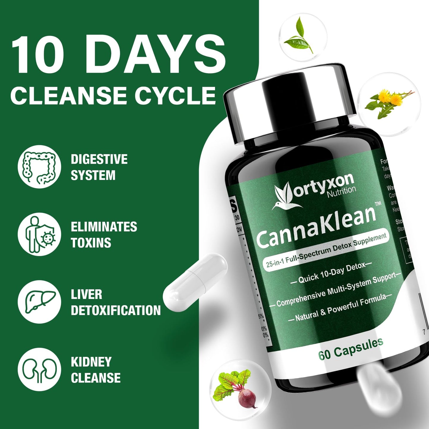 Vortyxon 25-in-ONE CannaKlean & Detox Capsules - Natural Detox Cleanse, Natural Herbal Formula for Body Purification, Kidney & Liver (60 Capsules) -1 Pack