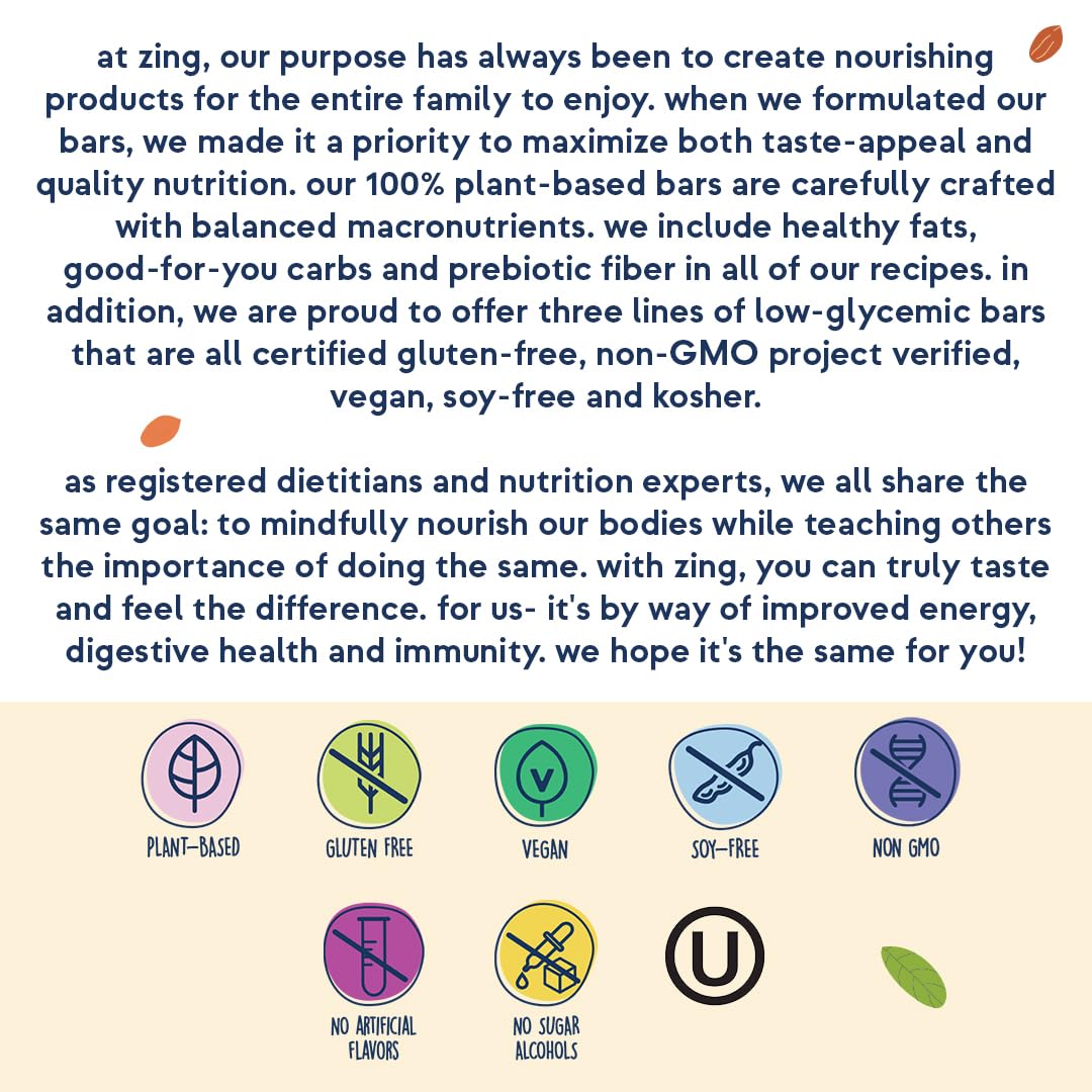 Zing Oatmeal Chocolate Chip Kids Protein Bars, Gluten Free 100 Calorie Mini Bars with High Protein, Vegan Nutrition Bars, Dairy Free Plant Based Protein, Low Sugar, No Sugar Alcohols - 18 count