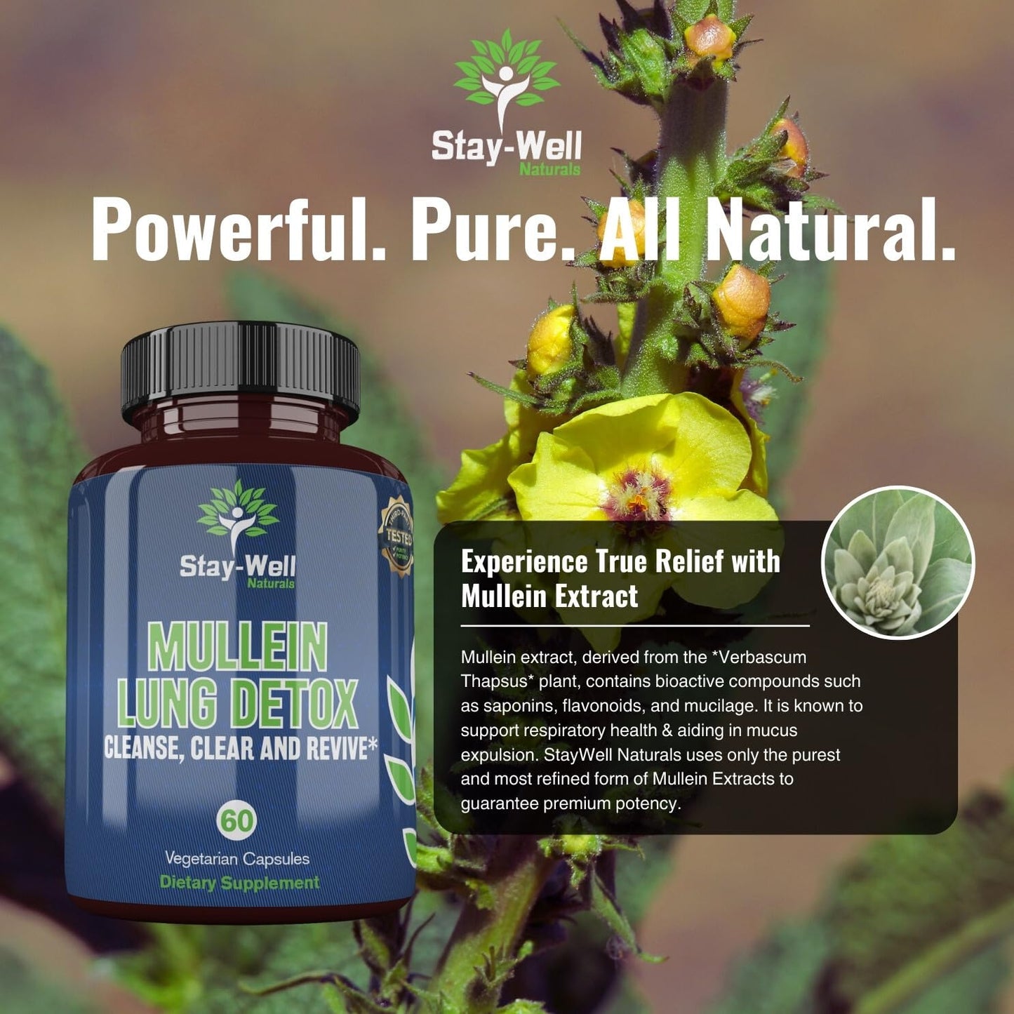 Mullein Lung Detox for Smokers to Support Healthy Lungs and Clear Breathing, All-Natural Lung Cleanse, Herbs and Proven Nutrients, 60 Capsules