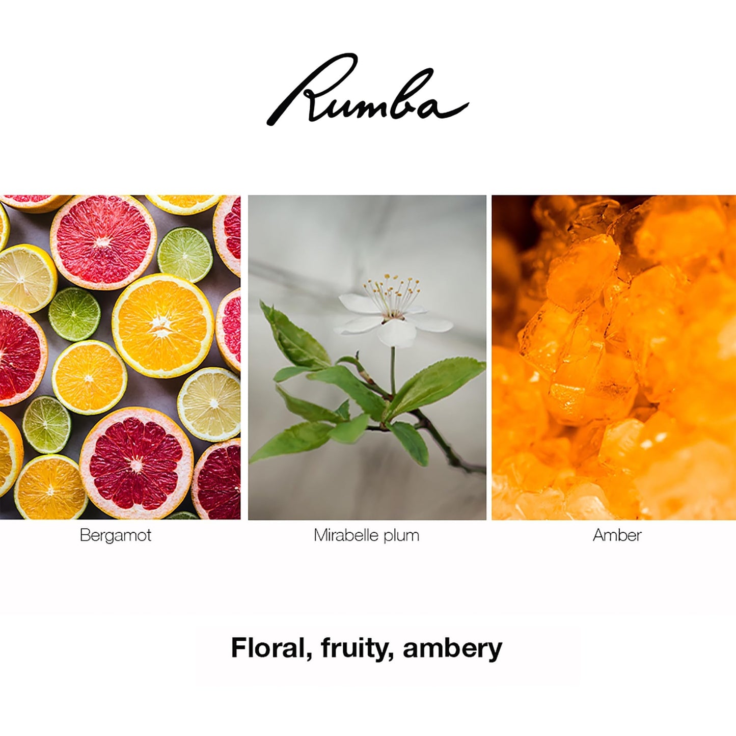 Rumba for Women Edt Spray 3.4 Oz