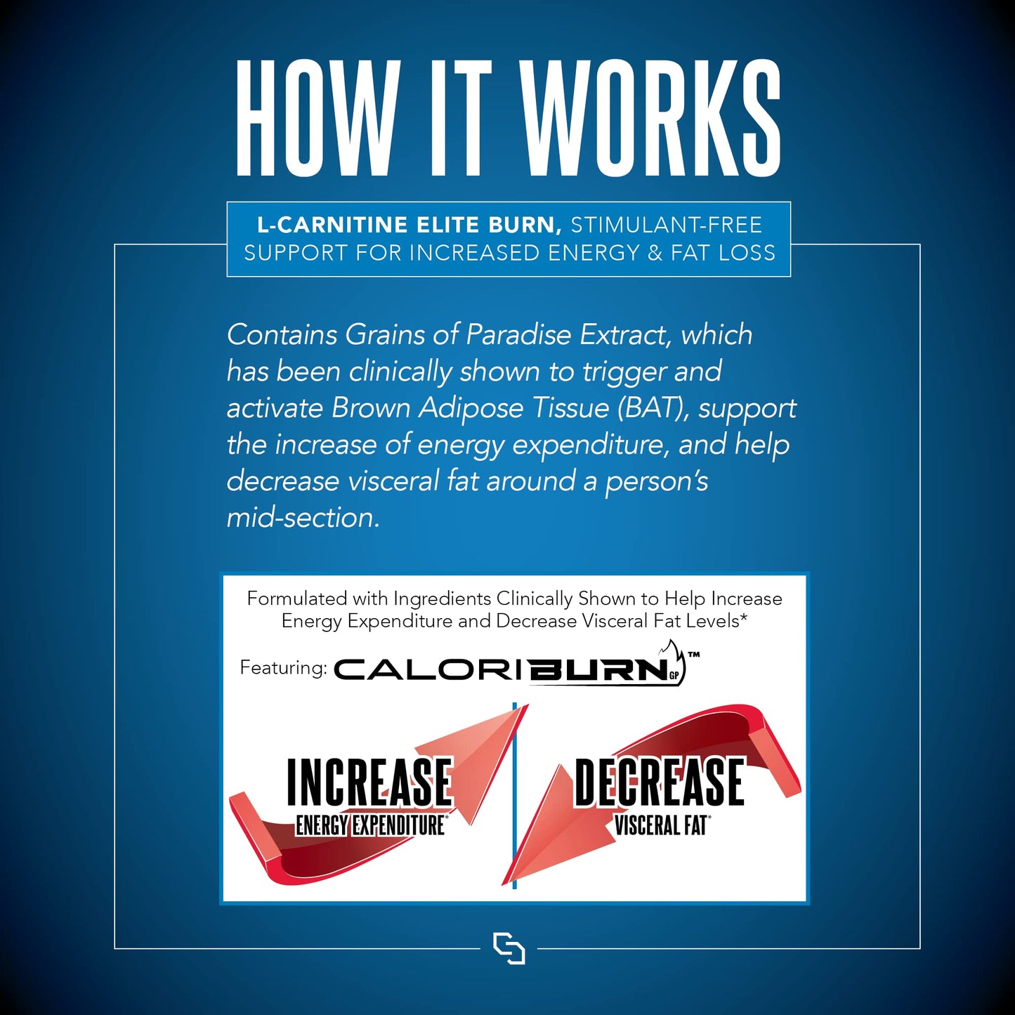 Siren Labs L-Carnitine Elite Burn Liquid Keto Fat Burner and Metabolism Activator - Fat Loss Support Keto Friendly Weight Loss Increase Energy-Stimulant Free - Lemon Lime 3000mg (32 Servings)