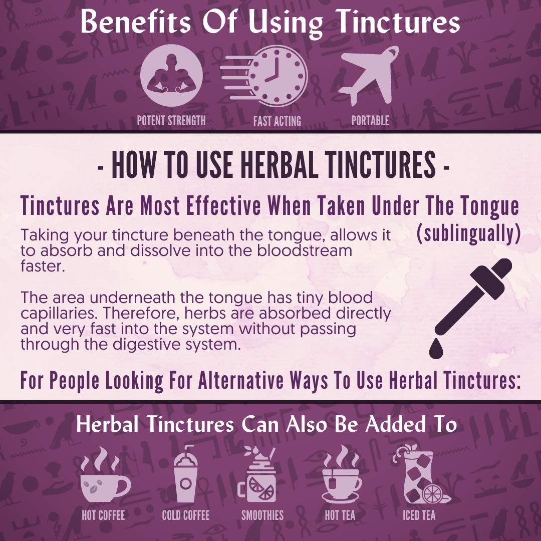 Sun God Medicinals Ra Herbals Organic Burdock Root Liquid Extract - Detox Support - 1 fl oz