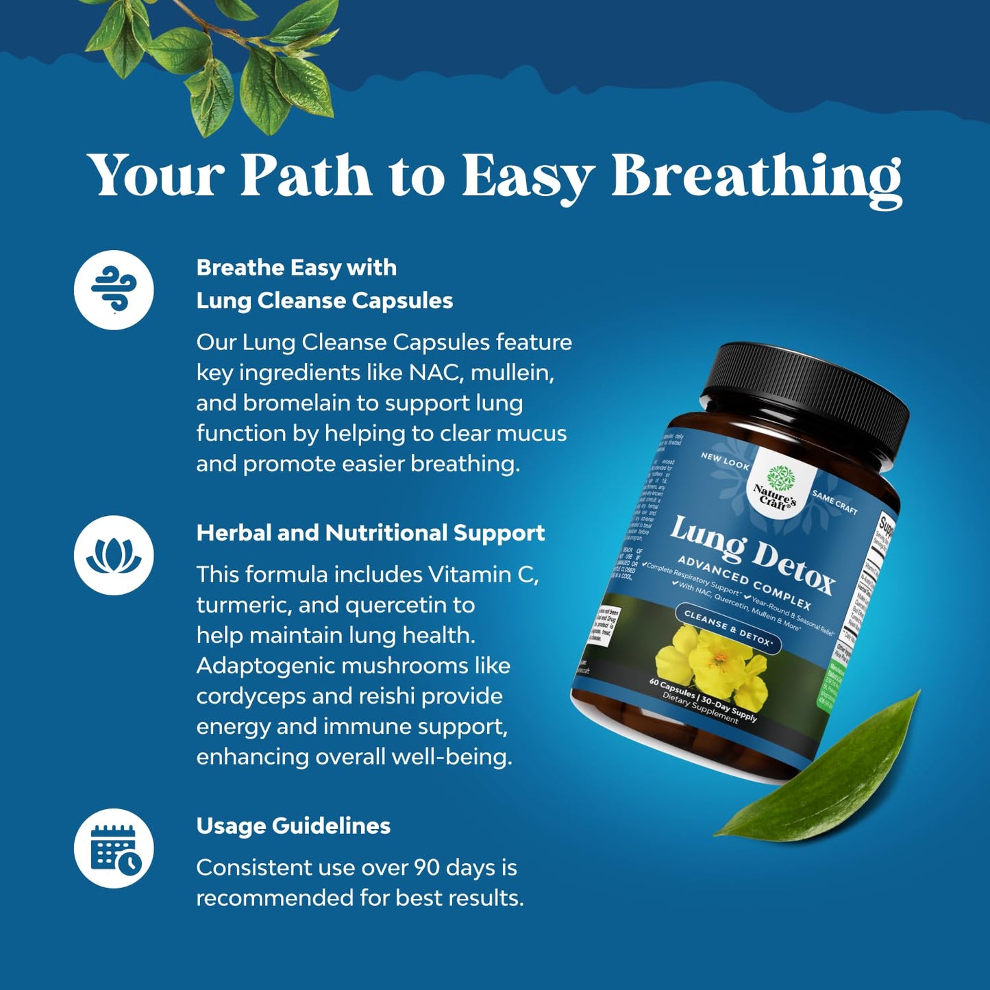 Lung Detox Mullein Leaf Capsules - Purifying Mullein Lung Cleanse Complex with NAC Quercetin & Cordyceps Extracts - Mullein Leaf Herb Respiratory Supplement for Sinus Immunity & Breathing Support