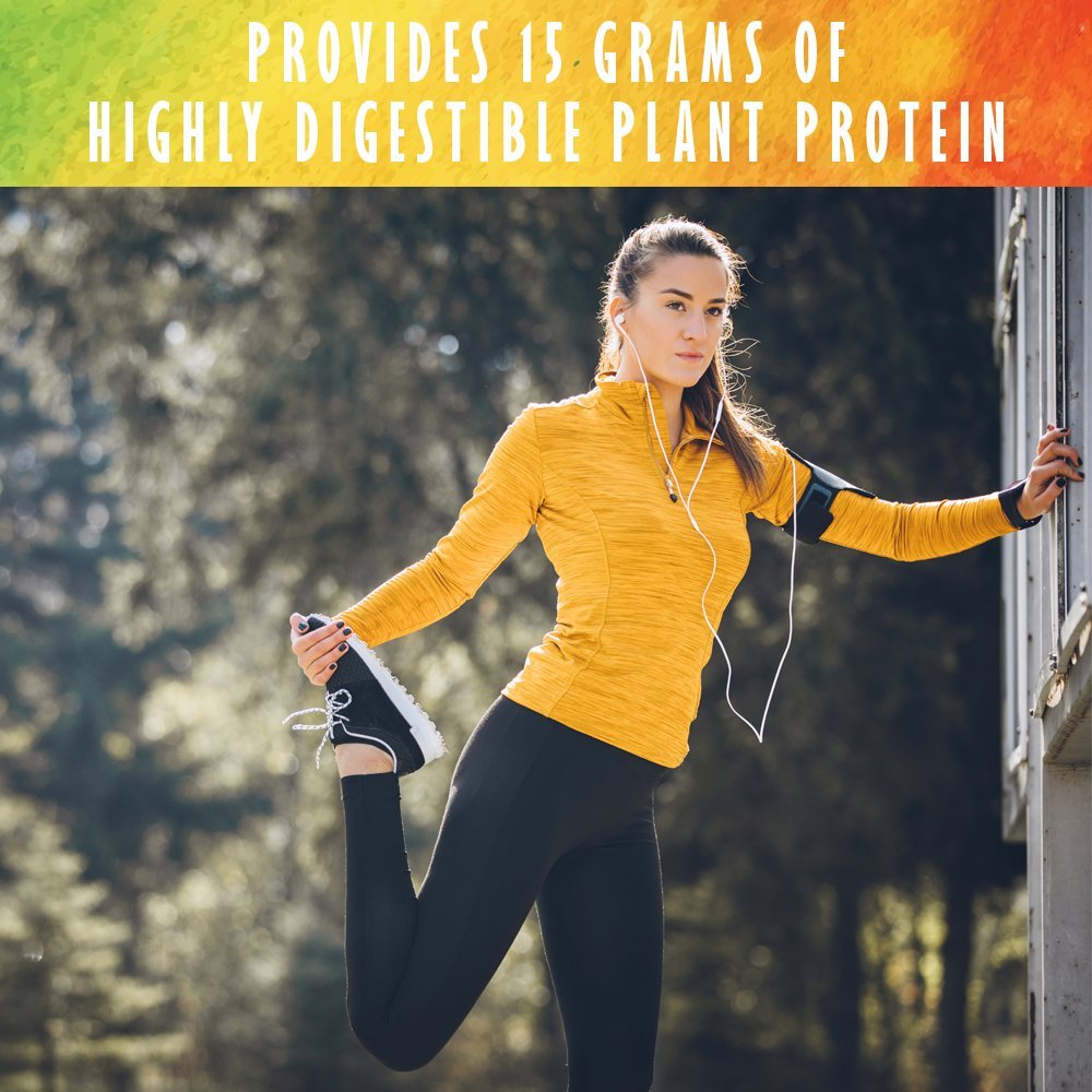 Garden of Life Organic Plant Protein Smooth Coffee Powder, 10 Servings - Vegan, Grain Free & Gluten Free Plant Based Protein Shake with Arabica Coffee, 1 Billion CFU Probiotics & Enzymes, 15g Protein