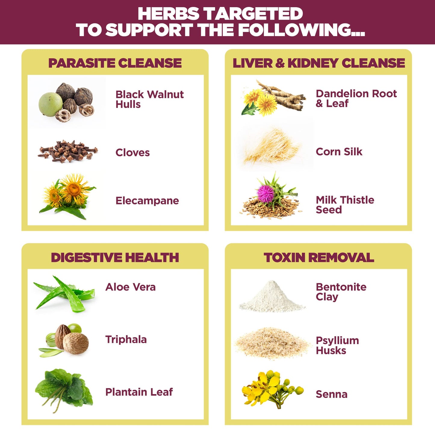 Yerba Prima Women’s Renew Internal Cleansing System - 30 Day Cleanse and Detox Kit - Female Detoxifying Herbal Support Supplements