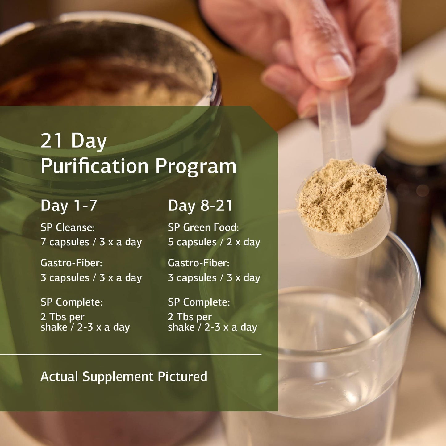 Standard Process Purification Kit with SP Complete and Gastro-Fiber - Detox and Liver Support with Milk Thistle, Whey Protein, Fiber, Choline, and Calcium