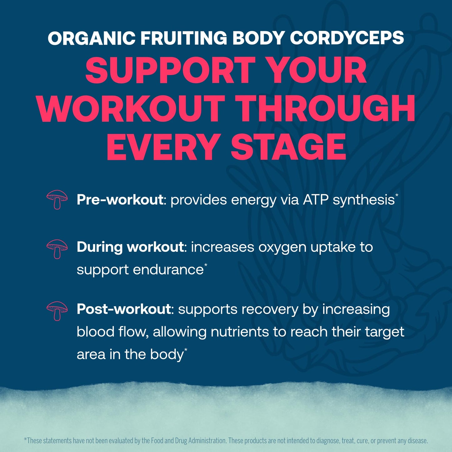 True Grace ElectroMag - 16 Stick Packs (Pack of 2) - Watermelon - Electrolyte Powder for Rapid Hydration - Sodium, Potassium, Magnesium & Cordyceps - Zero Sugar & Carbs - Non-GMO - 32 Total Servings