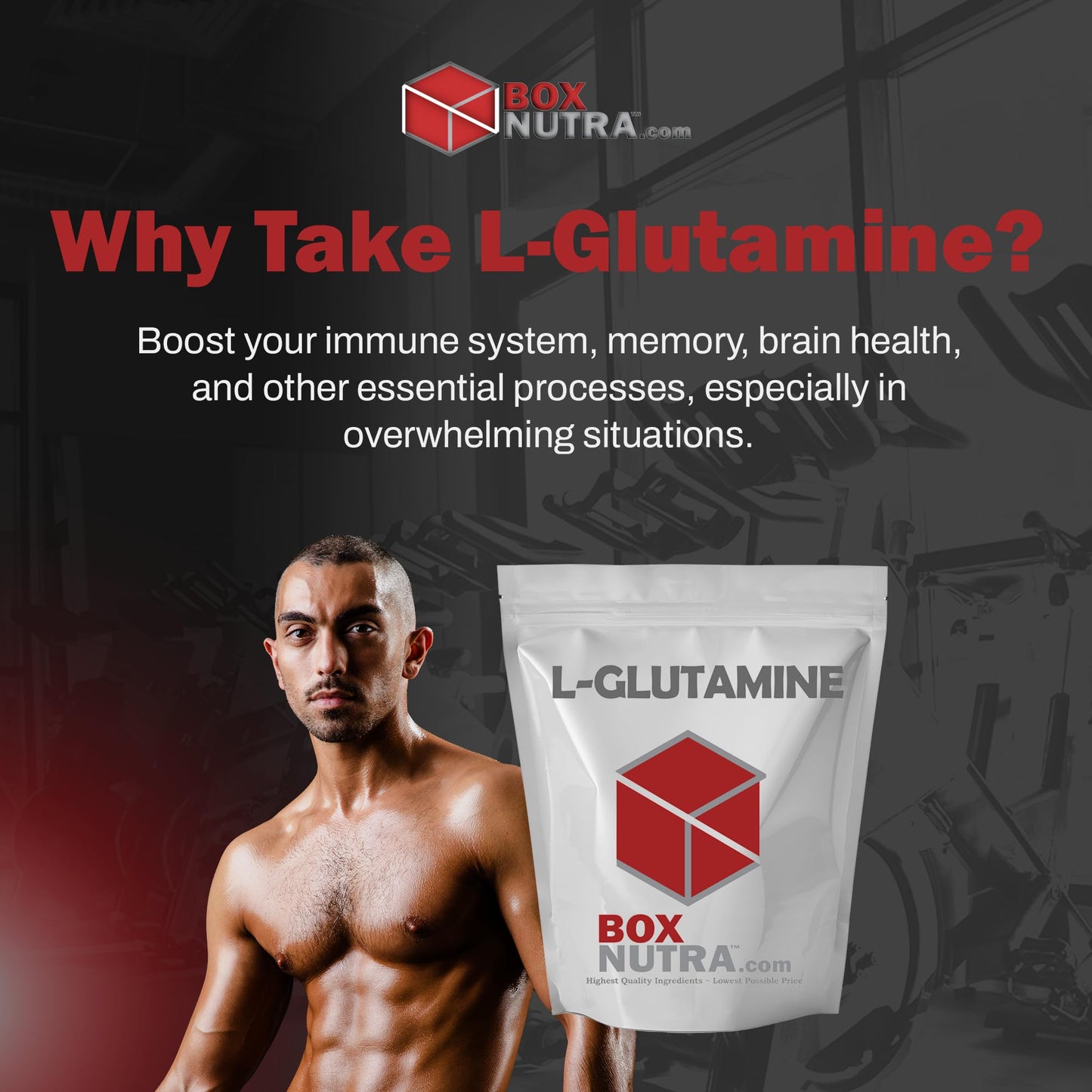 BOX NUTRA BoxNutra L-Glutamine Powder - Digestive and Immunity Support - Enhance Sports Performance and Muscle Recovery, 1kg