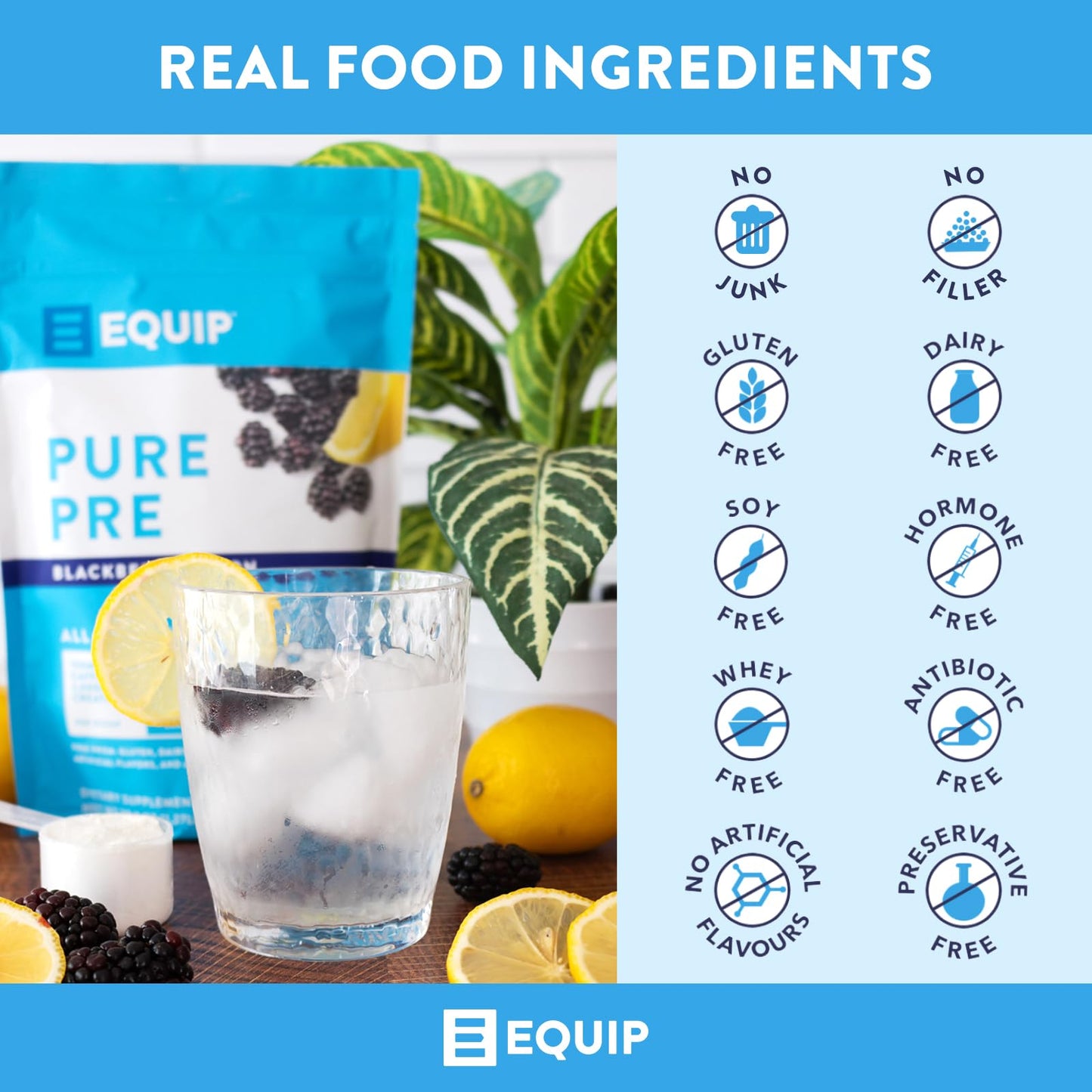 Equip Foods Pure Pre All Natural Pre-Workout Powder | Green Tea Caffeine, Sea Salt, EAA, Vitamin C, B6, B12, L-carnitine, Agnine | Naturally Boosts Workouts | 30 Servings, BlackBerry Lemon Caffeinated