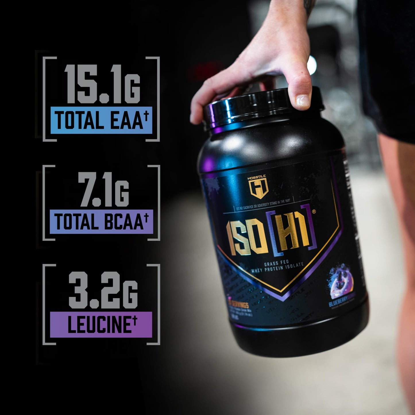 HOSSTILE ISO[H1] Grass Fed Whey Protein Isolate with Digestive Enzymes, Whey Protein Powder for Muscle Gain & Muscle Recovery, Post Workout Recovery Drink, Blueberry Donut, 30 Servings