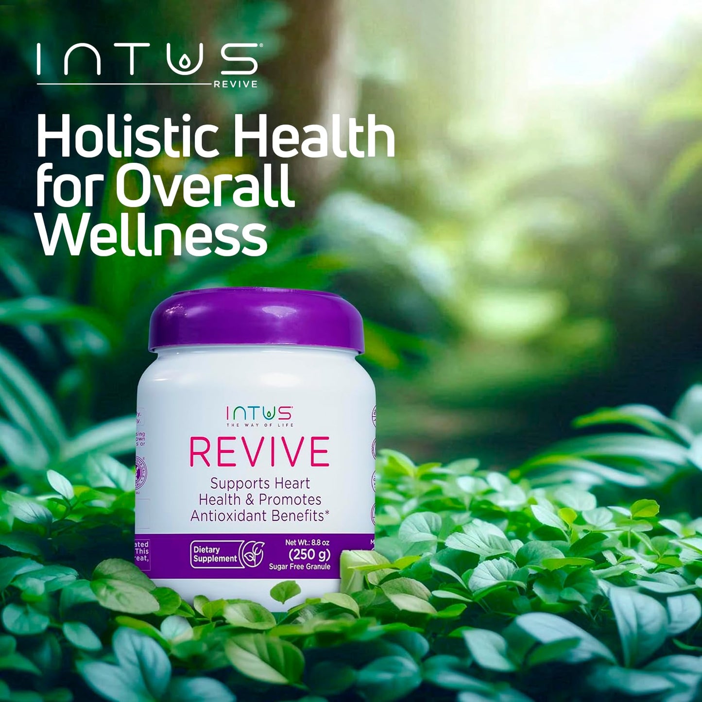 Intus Revive - Ayurvedic Dietary Supplement for Heart Health with Ashwagandha and Antioxidants - Immune Support Supplement That Can Help Control Blood and Improve Chronic Fatigue - 8.8 oz