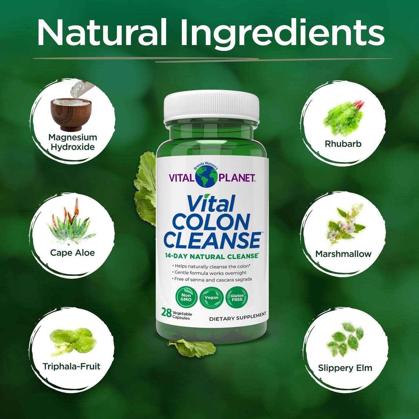 Vital Planet - Vital Colon Cleanse 14-Day Colon Cleanser and Detox with Magnesium Hydroxide, Slippery Elm, and Aloe for Digestive Health Support, Occasional Constipation, and Bloating 28 Capsules