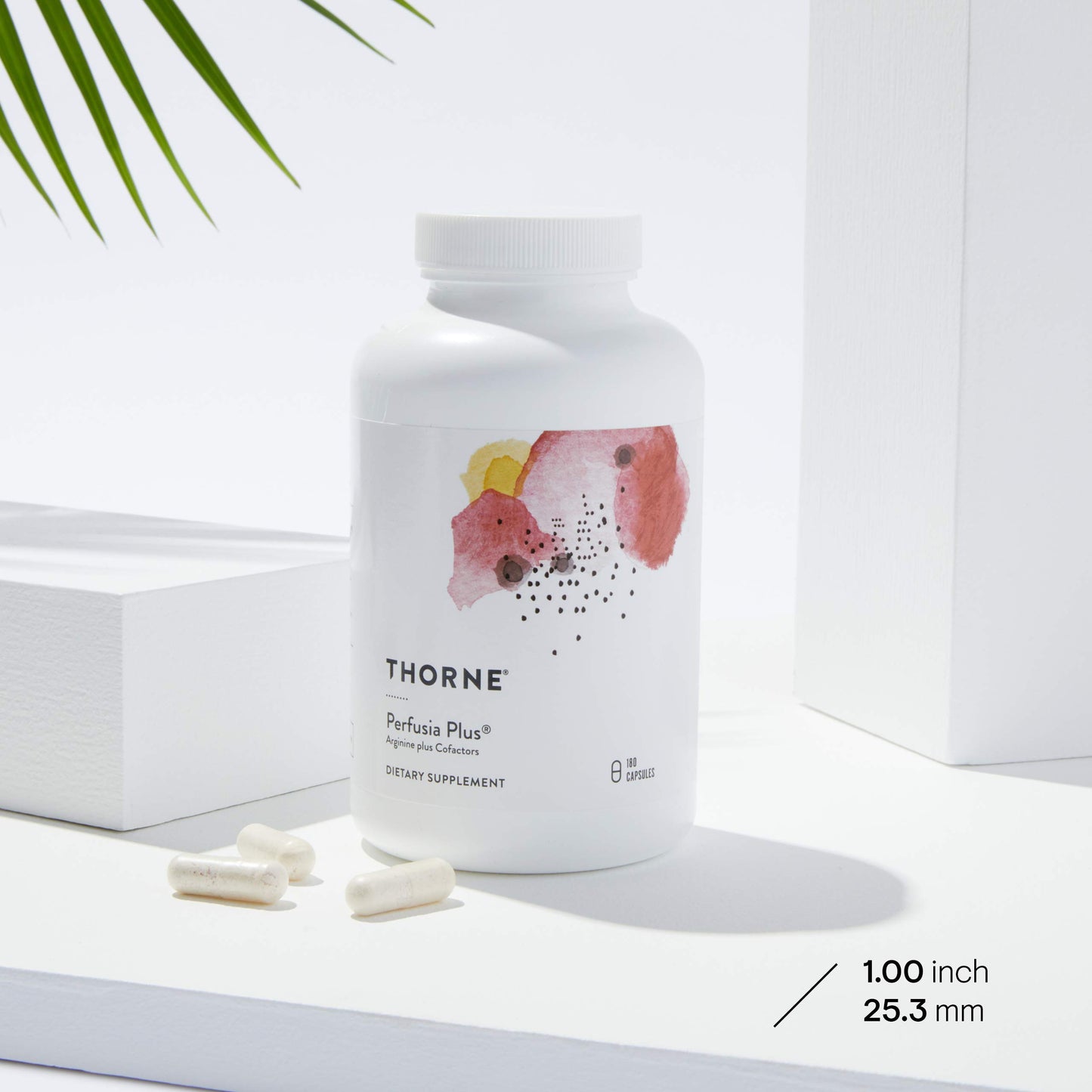 THORNE L-Arginine Plus (Formerly Perfusia Plus) - Sustained-Release Cofactors to Support Heart Function, Nitric Oxide Production & Optimal Blood Flow* - 180 Capsules
