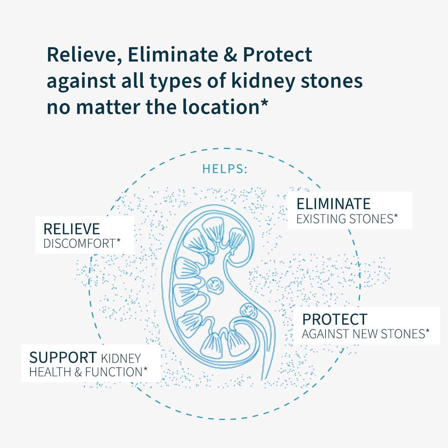 Renavive - Natural Kidney Cleanse | Eliminate & Protect Against Stones | Flush Impurities & Clear System | Support Kidney Health & Function | Chanca Piedra, Celery & More | 60 Capsules - 3 Pack