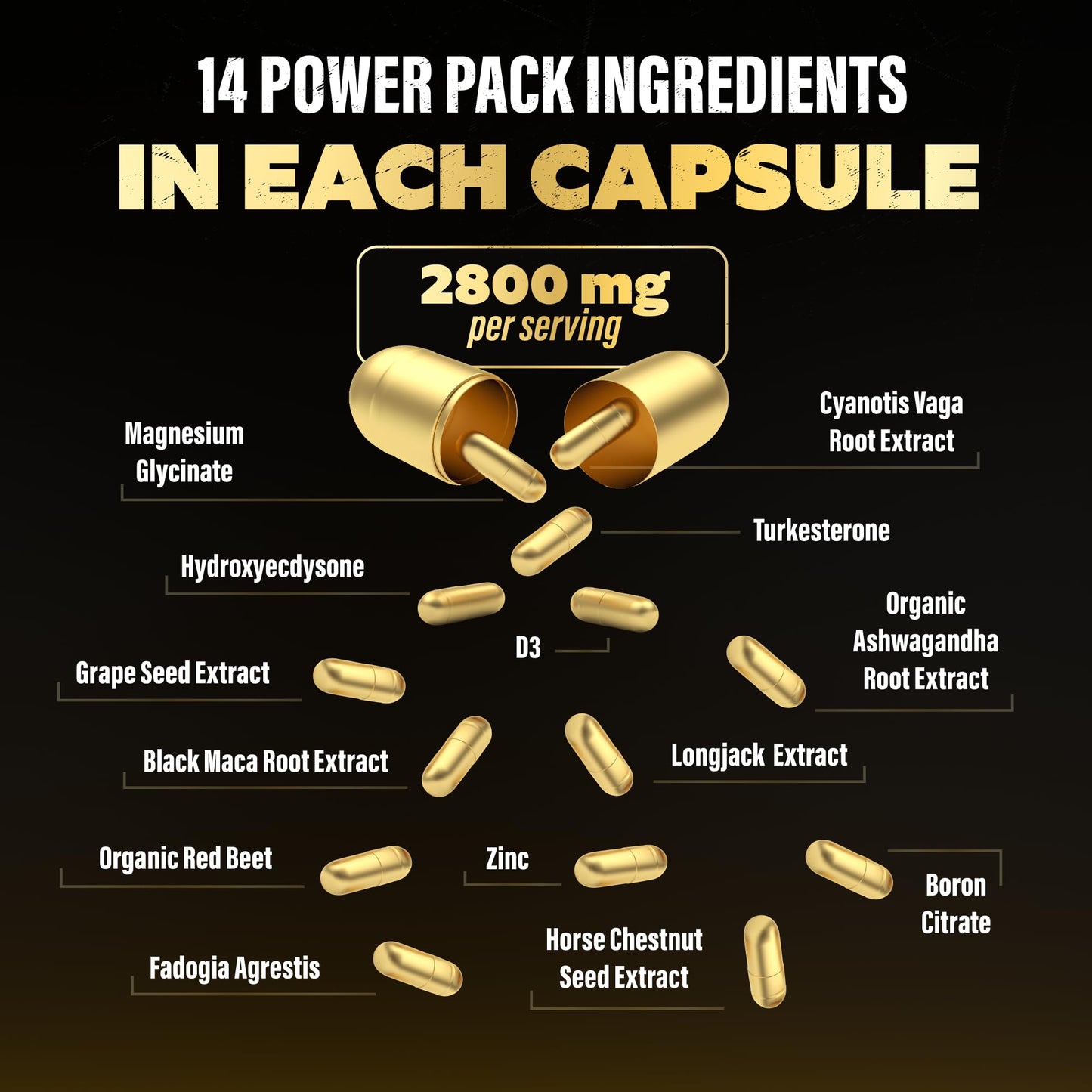 Testosterone Support for Men - Male Enhancing Supplements & Vitality Pills | Testosterone Supplement for Men w/ Turkesterone, Tongkat Ali & Fadogia Agrestis | Boost Muscle Growth, Stamina & Recovery