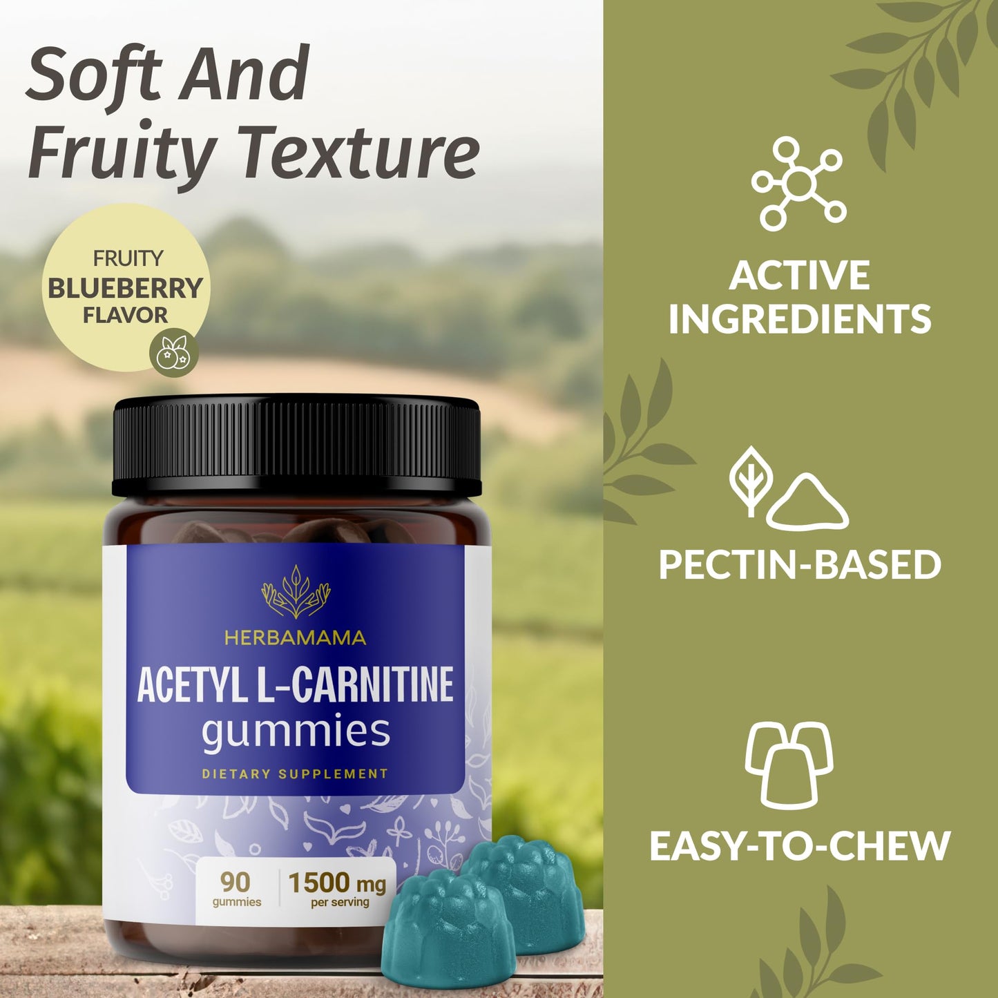HERBAMAMA Acetyl L-Carnitine 1500mg Gummies - ALCAR Supplement for Energy & Focus Support - Vegan, Non-GMO, 90 Pectin-Based Blueberry-Flavored Chews