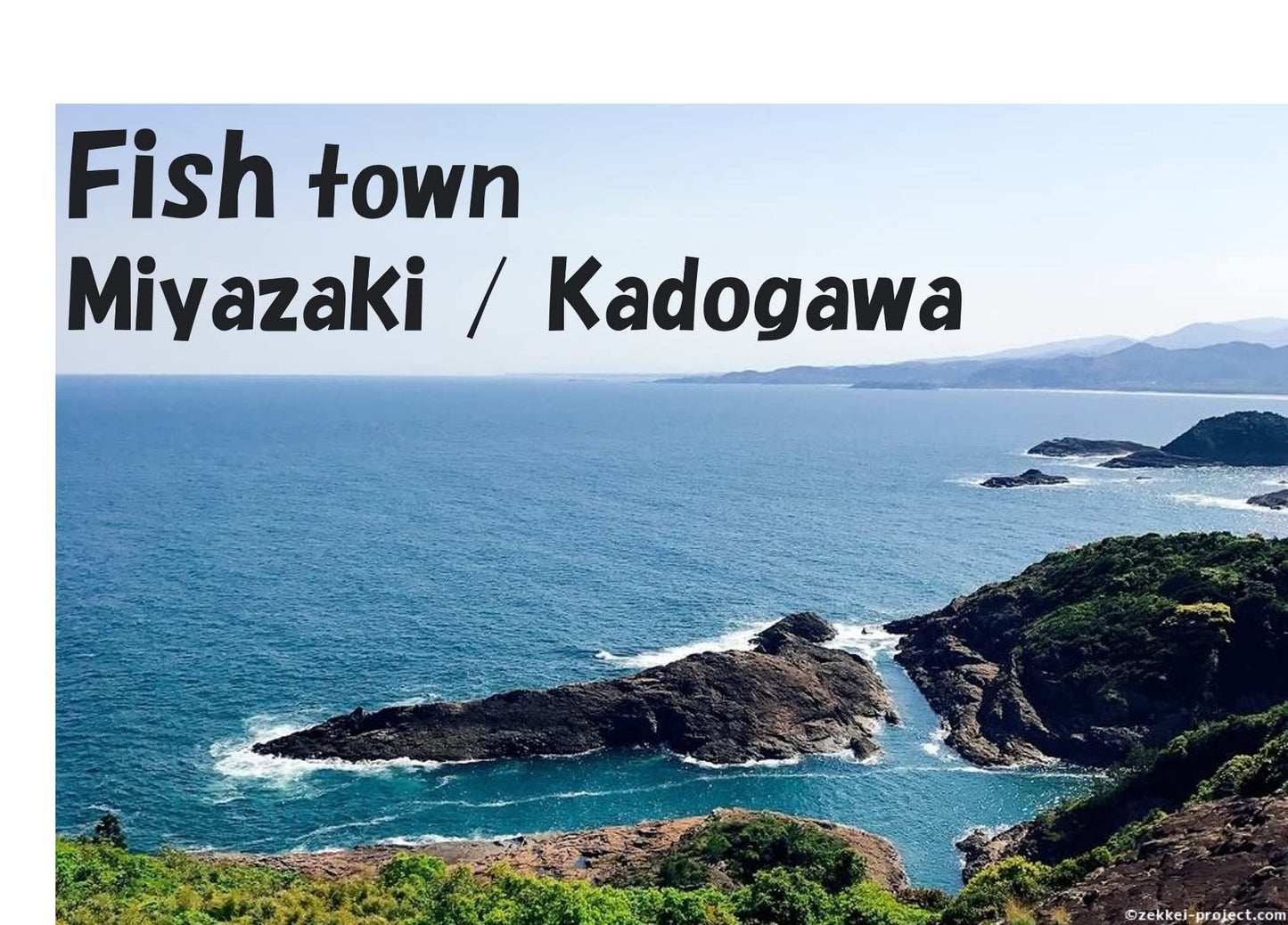 Miyazaki Japanese Oil Sardines 28oz just sprinkle to match all dishes Small Sardines soaked in cottonseed oilmade in JapanMentaiko