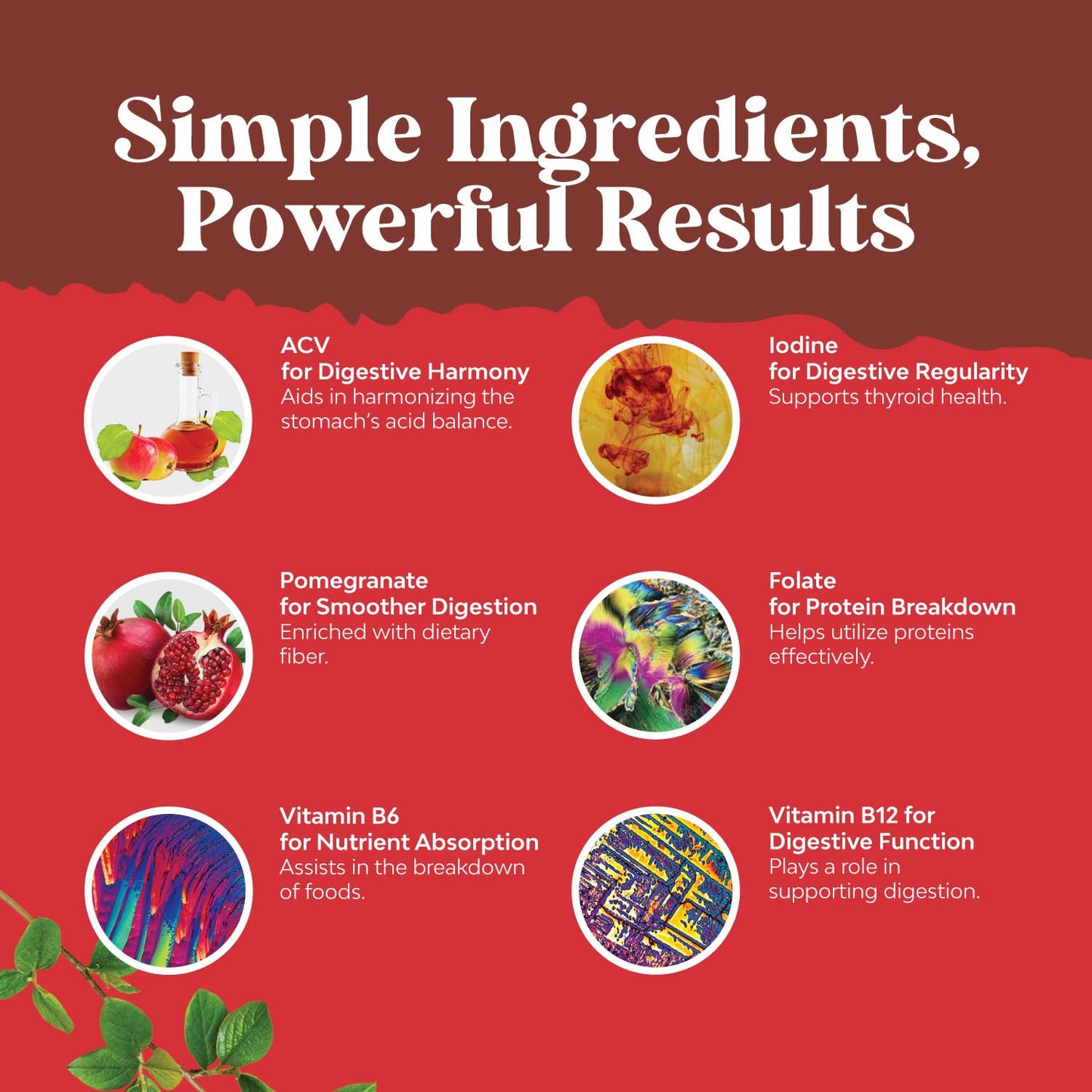 ACV Apple Cider Vinegar Gummies - Superfood Infused ACV Gummies Vitamins for Adults for Detox Cleanse Immune Support Digestion and Glowing Skin - Delicious Daily Energy with Vitamin B Complex