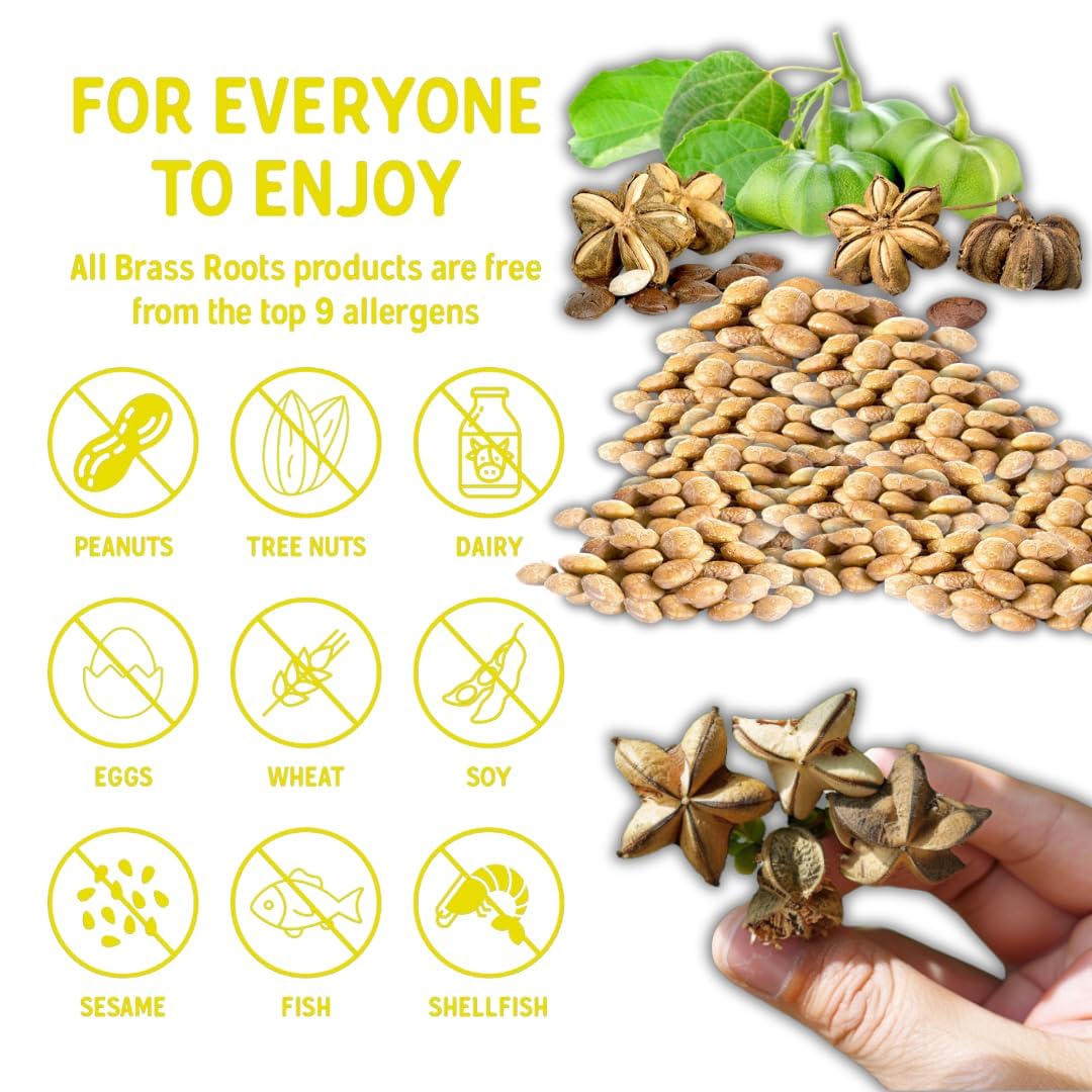 Brass Roots Organic Roasted Sacha Inchi Seeds Lightly Salted  Keto Paleo Allergen Free Low Fodmap 12 oz Pack of 1 Seen on Shark Tank