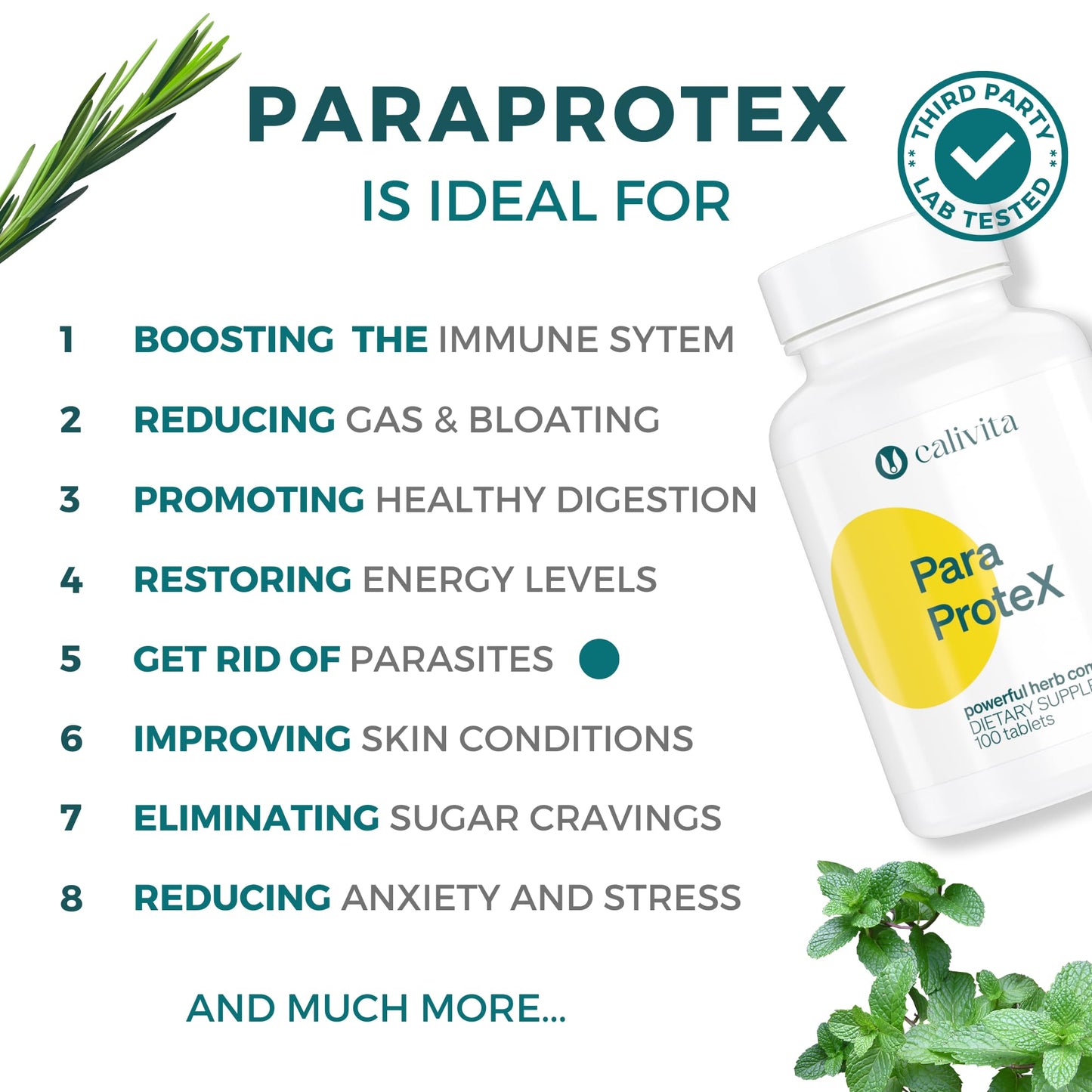 ParaProteX - Intestinal Cleanse for Humans - Black Walnut Wormwood - Gut Detox - All Natural Dewormer - Clove Oil - Gut Health Support & Microbal Balance - 10 Active Ingredients - 100 Vegan Tablets