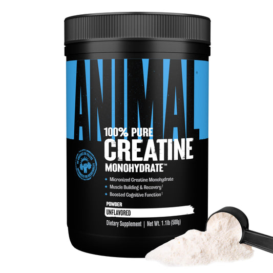 Animal Creatine Monohydrate Powder - Micronized Creatine for Women and Men, Supports Muscle Growth, Strength, Endurance, Recovery and ATP Production, Gym & Workout Supplements - Unflavored, 500g