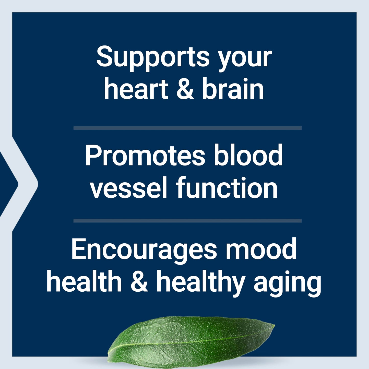 Life Extension Super Omega-3 EPA/DHA Fish Oil, Sesame Lignans & Olive Extract - Heart Health, Brain Health, Inflammation Health Support, Gluten-Free, Easy to Swallow, Non-GMO, 240 Softgels