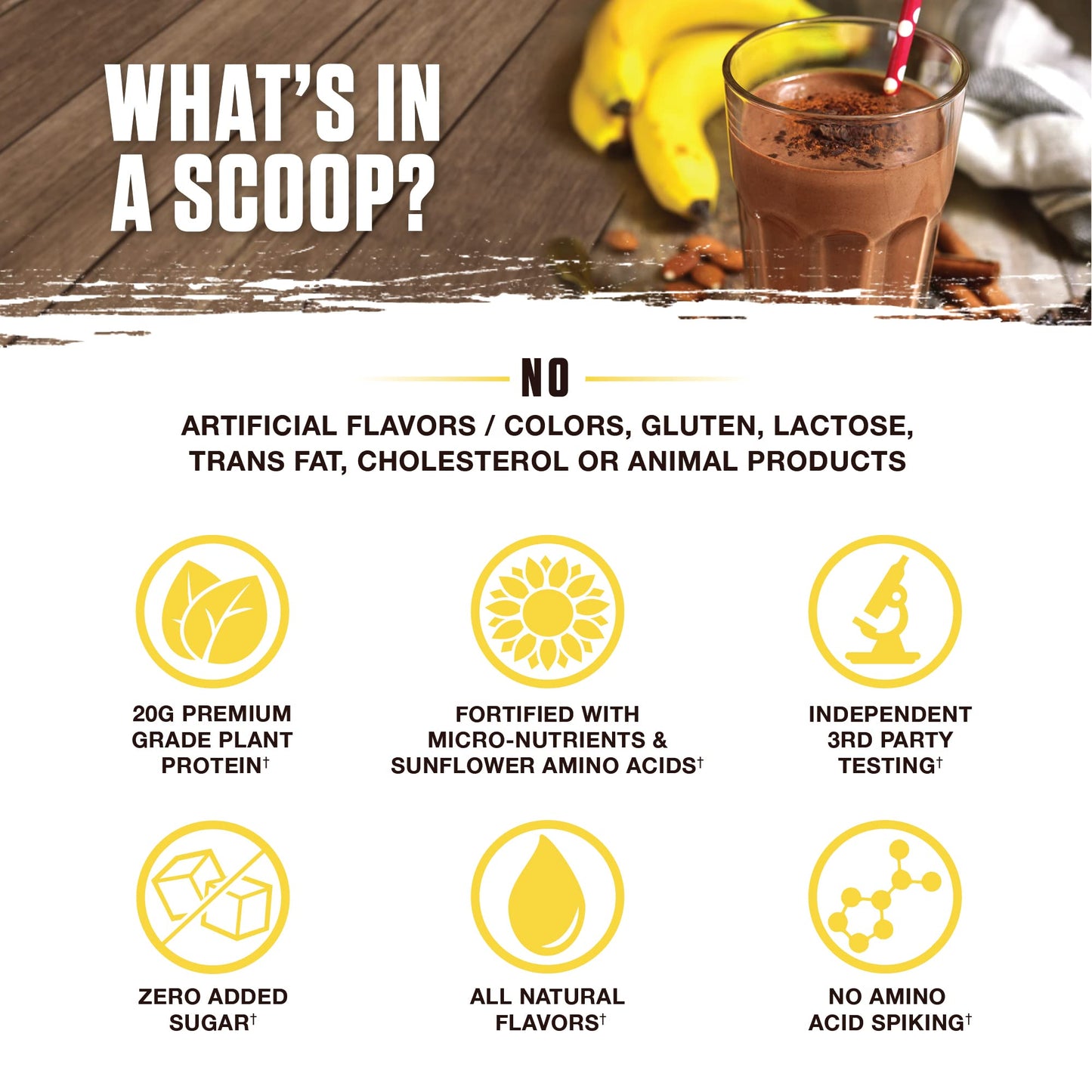 Ambrosia Planta - Premium Organic Plant-Based Protein | Vegan & Keto Friendly | Gourmet Flavors with No Bloating or Stomach Upset | No Added Sugar | 14 Servings | (Banana Maple)