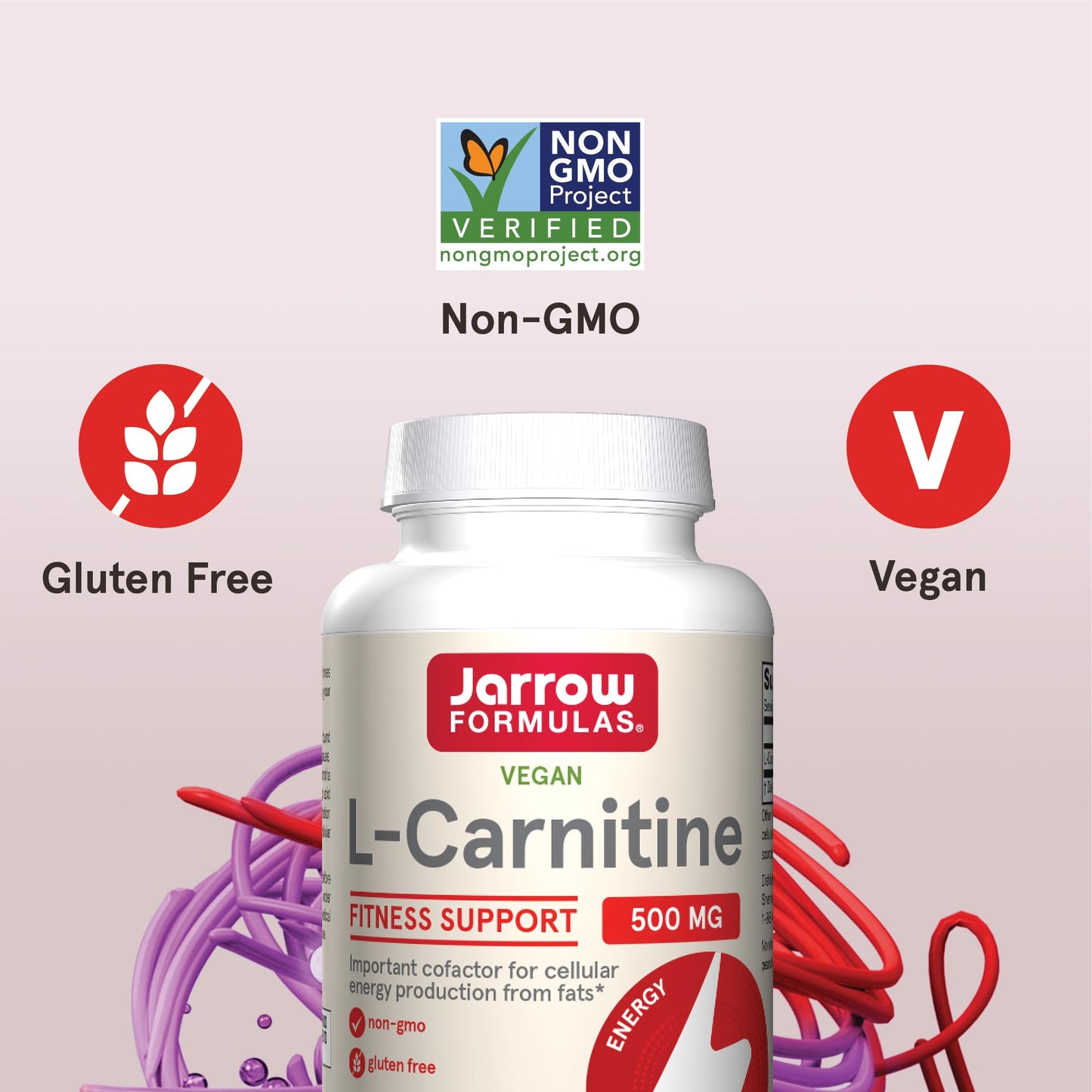 Jarrow Formulas L-Carnitine 500 mg, Dietary Supplement, Support for Cellular Energy Production, 100 Veggie Capsules, 100 Day Supply (Pack of 12)