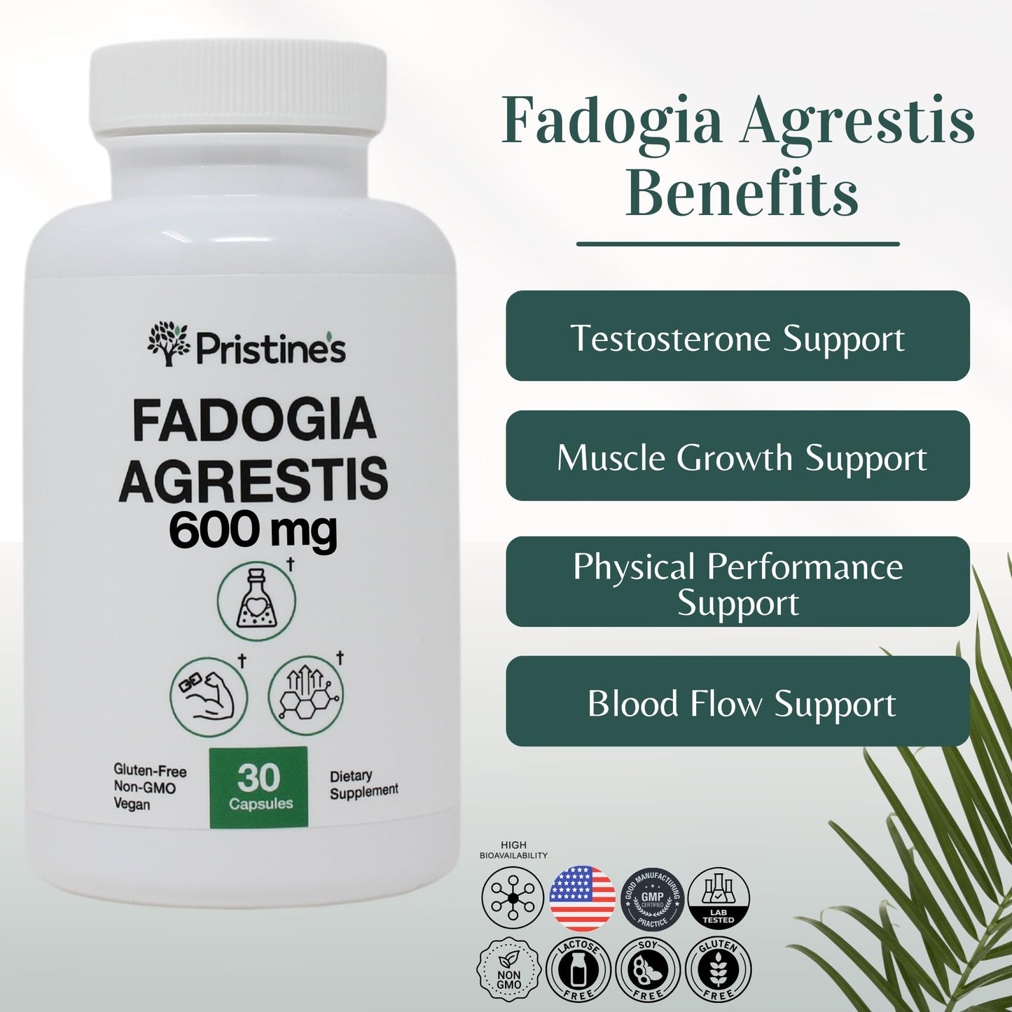 PRISTINE'S Fadogia Agrestis 600MG 30-Day Supply Sports Nutrition Testosterone Booster Support Capsules - Muscle Building & Vitality Support Extract Supplement - Gluten Free - Non-GMO