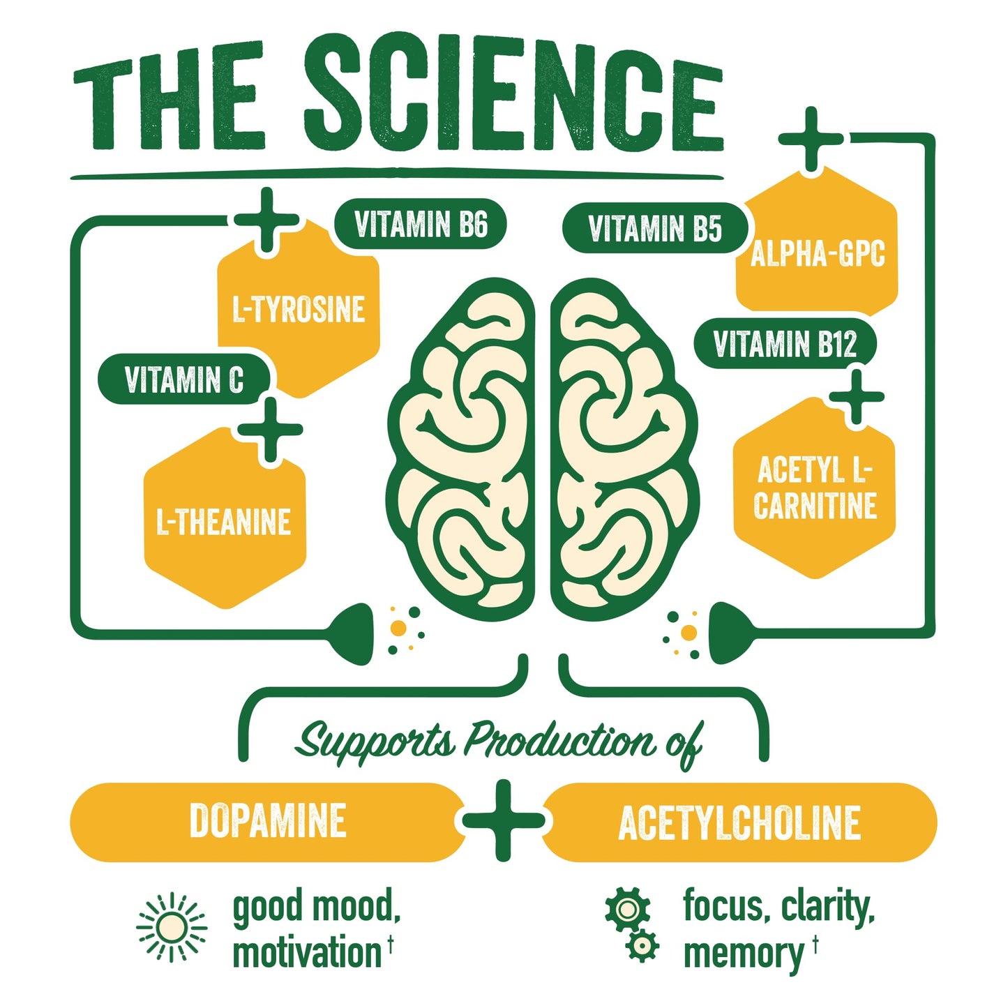 BrainJuice Active Pomegranate Acai Daily BrainPower Mix - 15 Servings (2.2 Oz, Peach Mango)