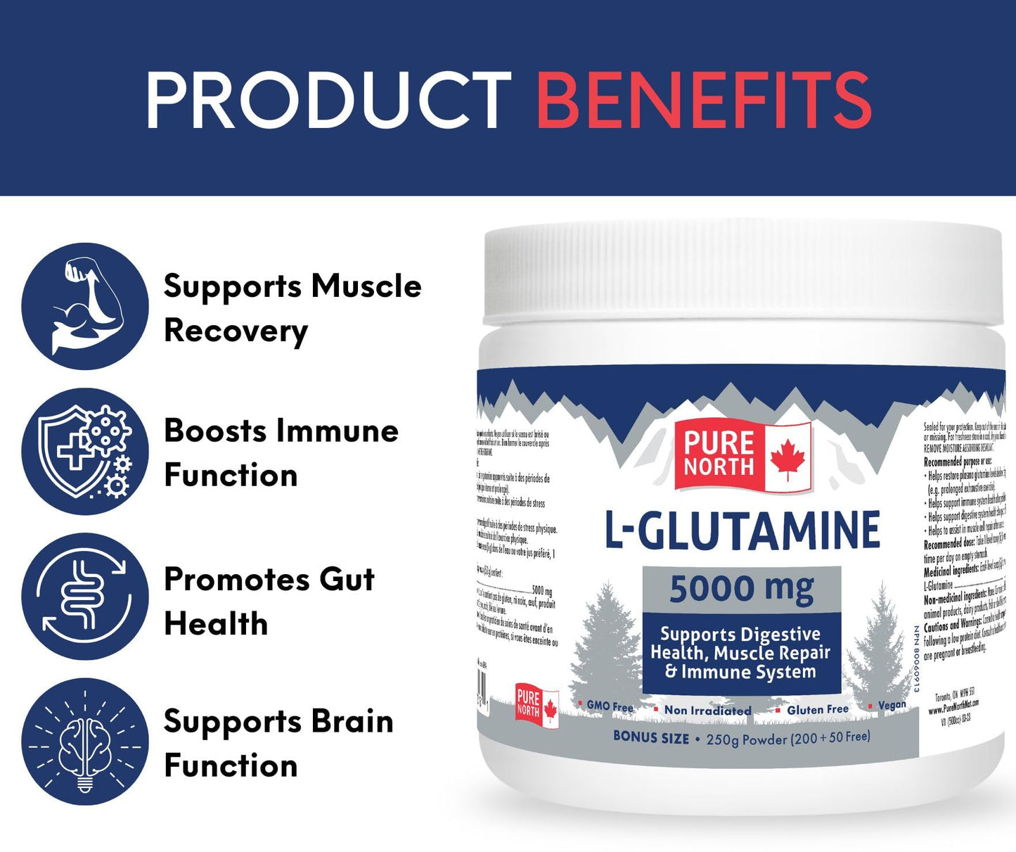 PURE NORTH NATURALS - L-Glutamine 5000mg, 250g - Gut L-Glutamine Powder Gut Health - Digestive Health - Support Muscle Repair & Support Immune System - 3rd Party Tested - Formulated & Made in Canada