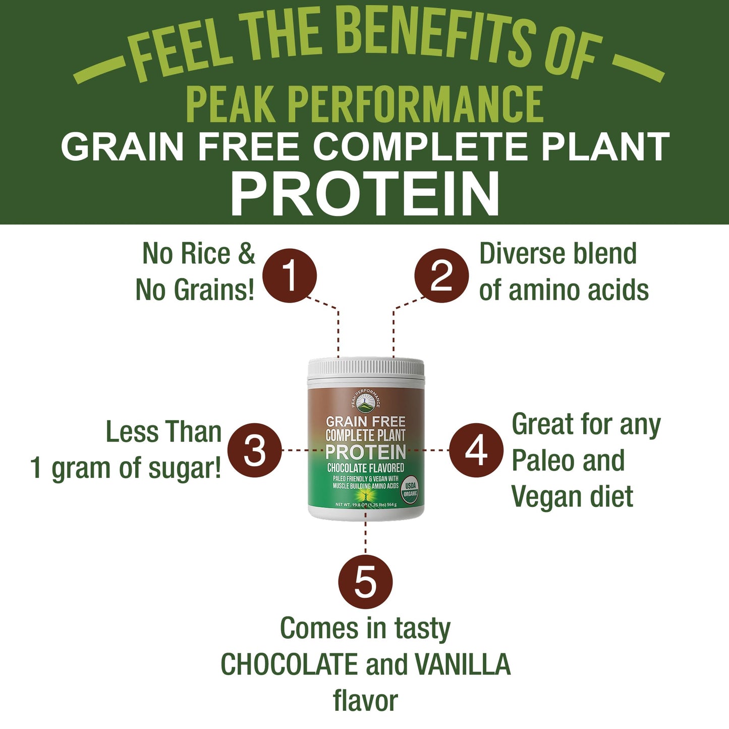 Organic Paleo Grain Free Plant Based Raw Vegan Protein Powder. Amazing Amino Acid Profile and Less Than 1g of Sugar. with Hemp and Pea Protein Chocolate Flavored