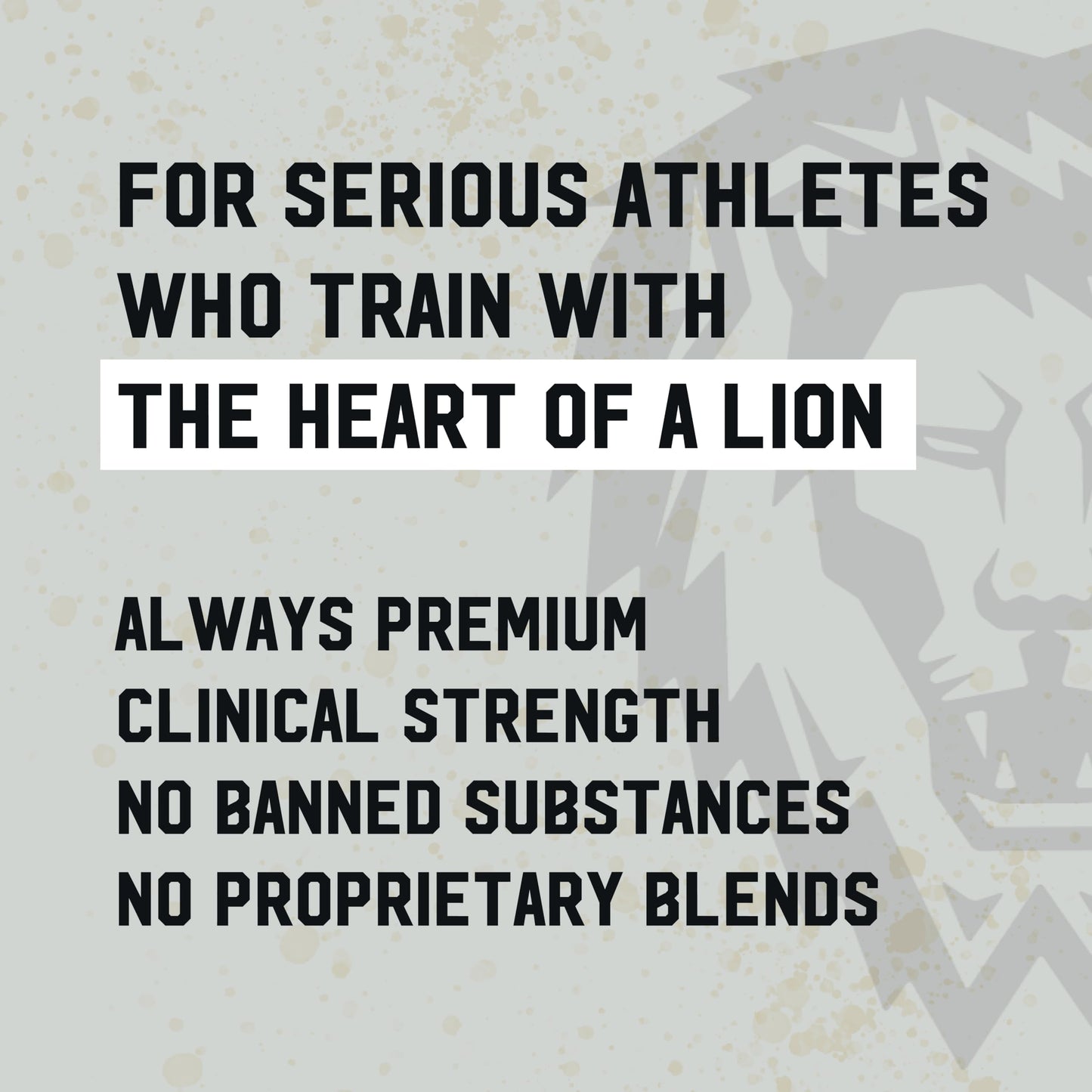 IRON KINGDOM: Sleep + Build