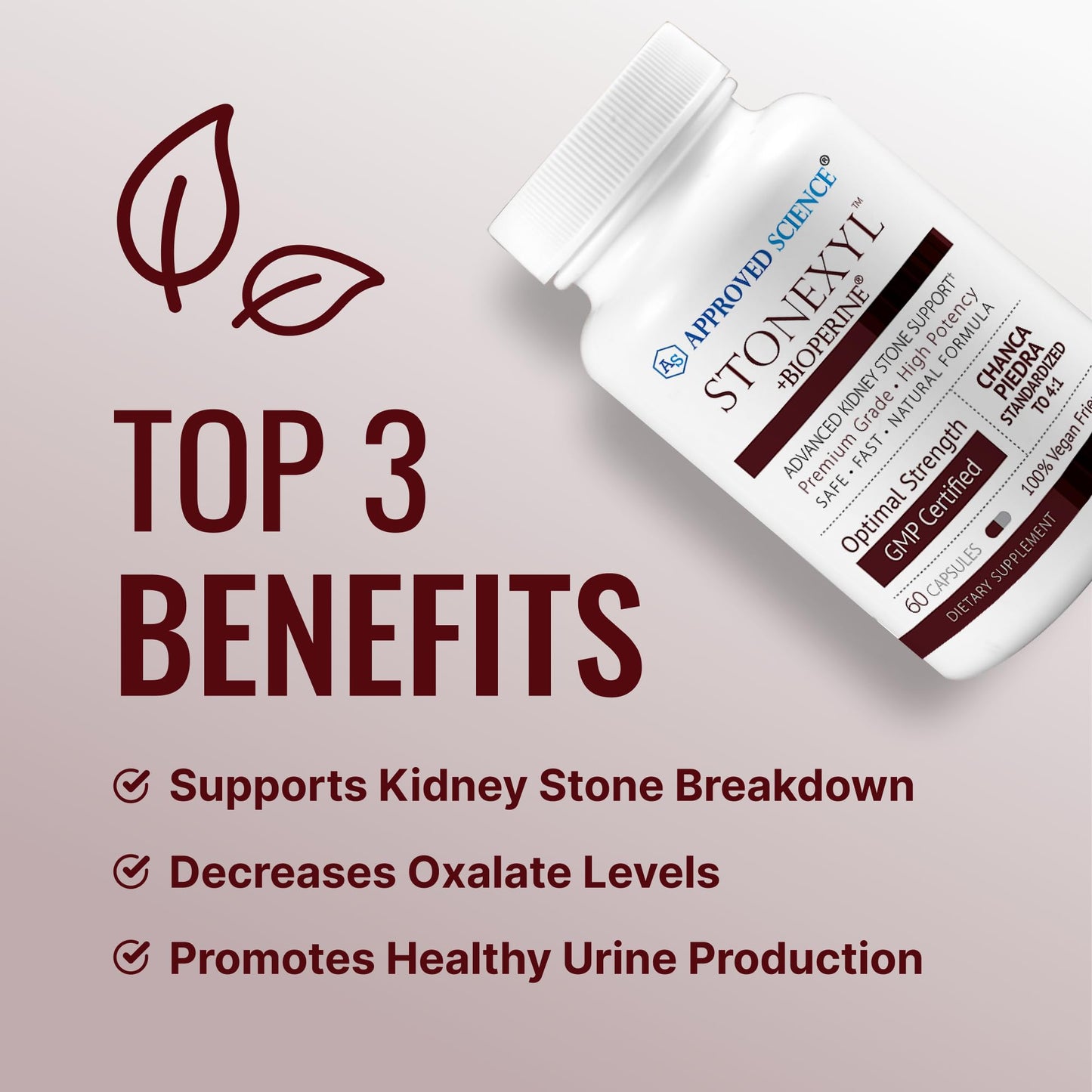Approved Science Stonexyl - Herbal Support for Kidney Stones - 60 Capsules - Chanca Piedra - High Absorption -1 Month Supply - Vegan
