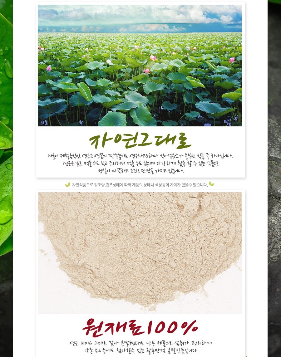 Lotus Root Powder Natural 100% Pure Healthy Fiber Vitamin C Amino Acid 연근 연근분말 연근가루 (100g)